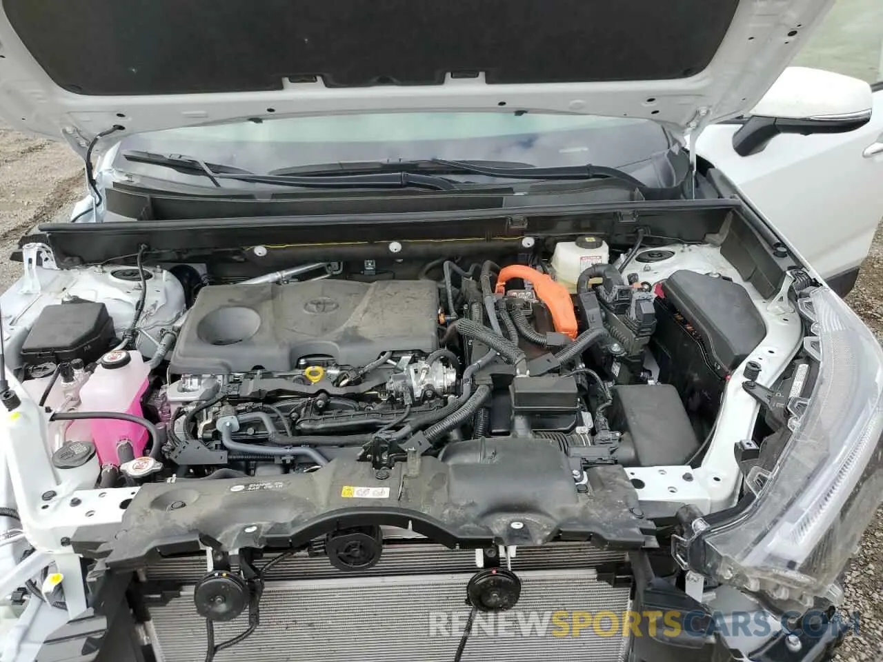 12 fotografías del automóvil dañado JTMD6RFV5RD560416 TOYOTA RAV4 2024