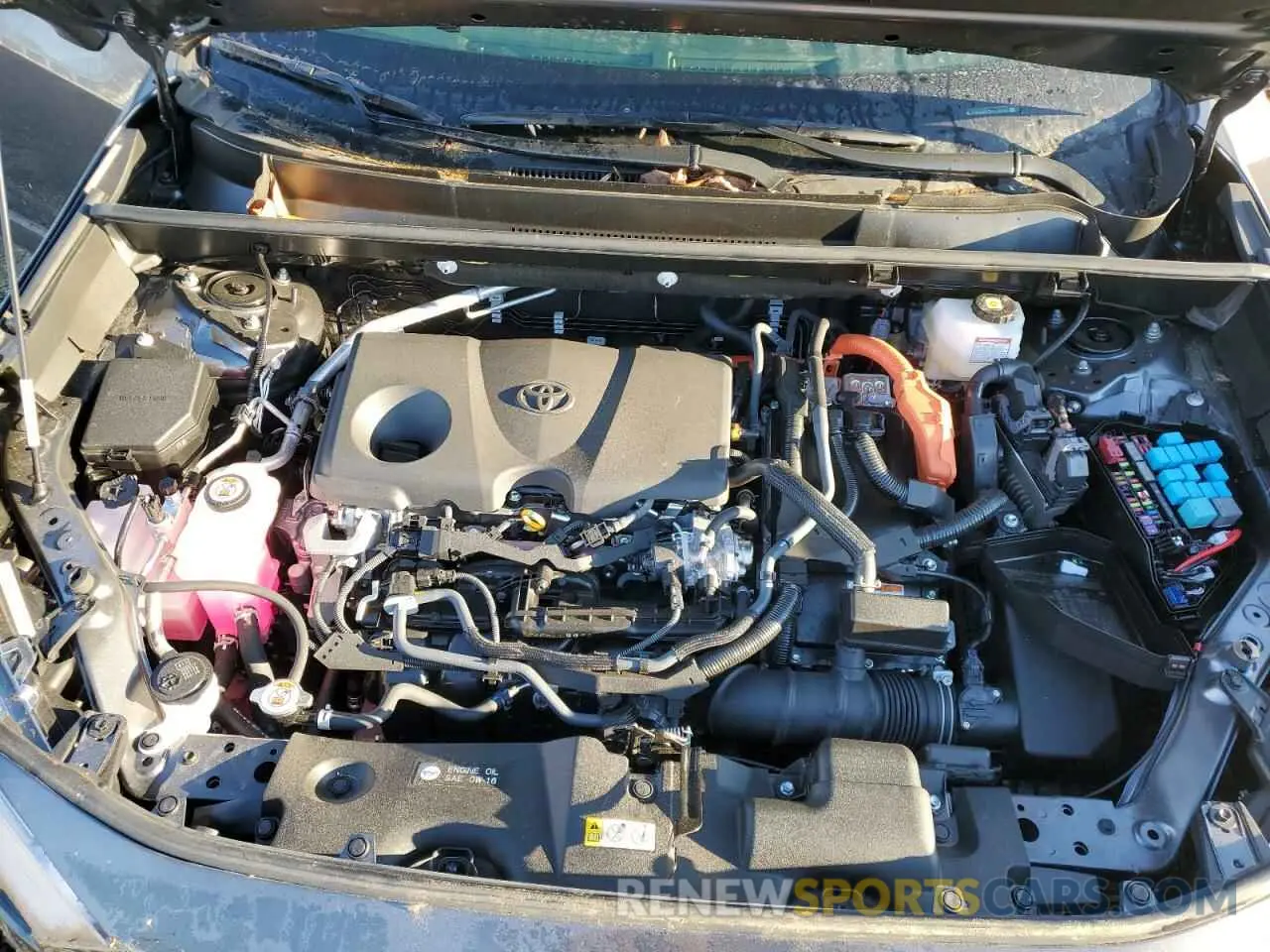 12 fotografías del automóvil dañado JTMD6RFV7RD138762 TOYOTA RAV4 2024