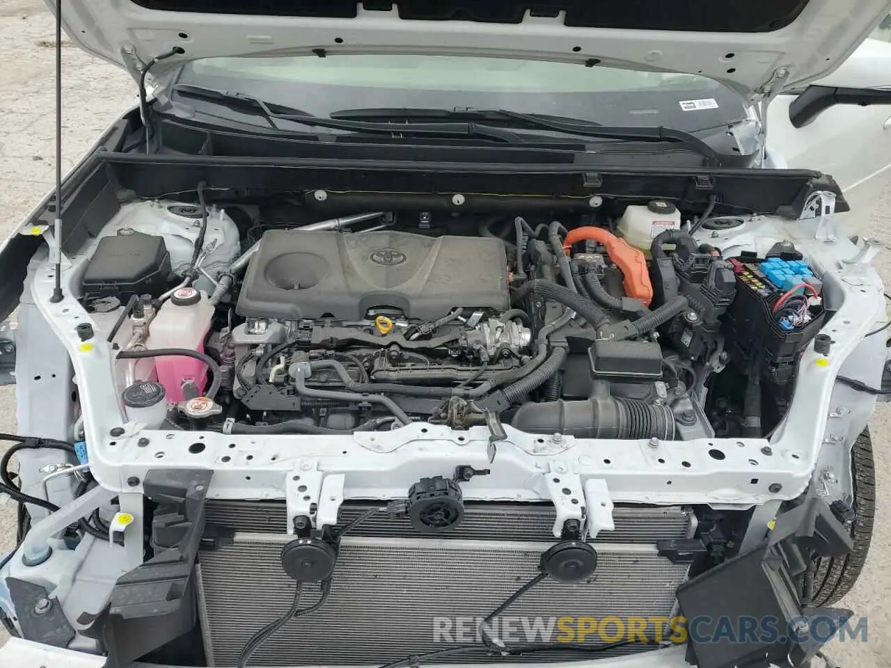 12 fotografías del automóvil dañado JTMD6RFV8RJ046593 TOYOTA RAV4 2024