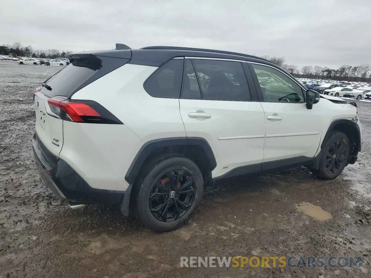 3 fotografías del automóvil dañado JTME6RFV5RD553552 TOYOTA RAV4 2024