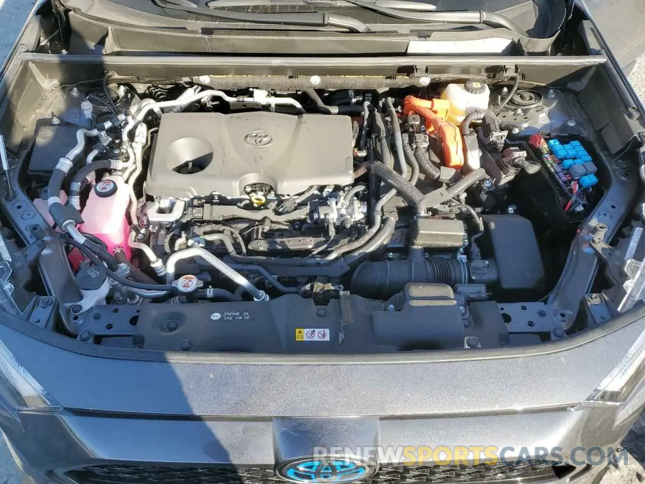 12 fotografías del automóvil dañado JTMEB3FV8RD231920 TOYOTA RAV4 2024
