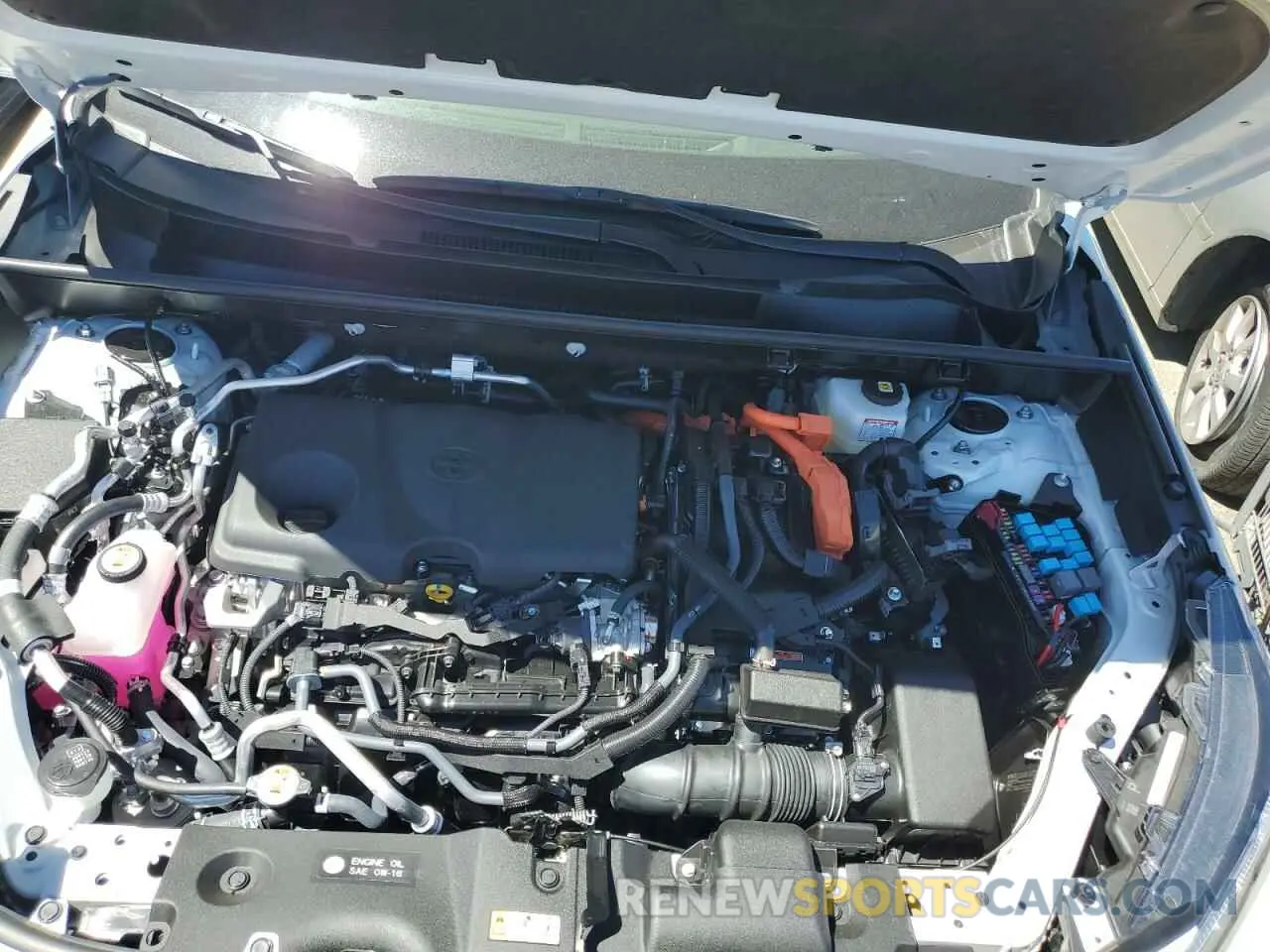 12 fotografías del automóvil dañado JTMEB3FVXRD207926 TOYOTA RAV4 2024
