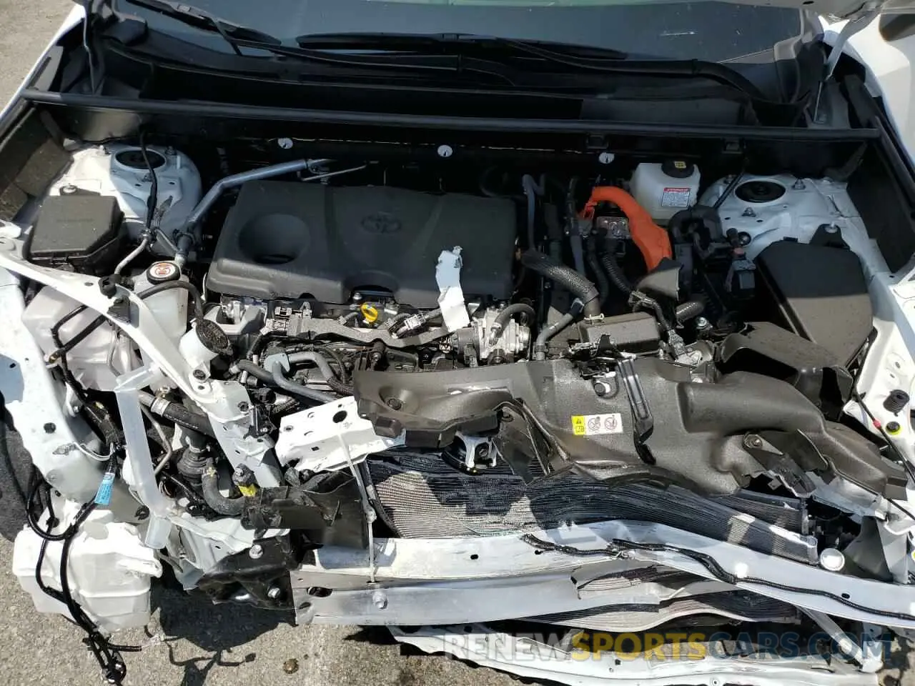 12 fotografías del automóvil dañado JTMMWRFV8RD256447 TOYOTA RAV4 2024
