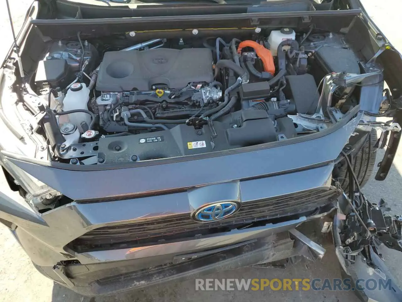12 fotografías del automóvil dañado JTMRWRFV0RD245061 TOYOTA RAV4 2024