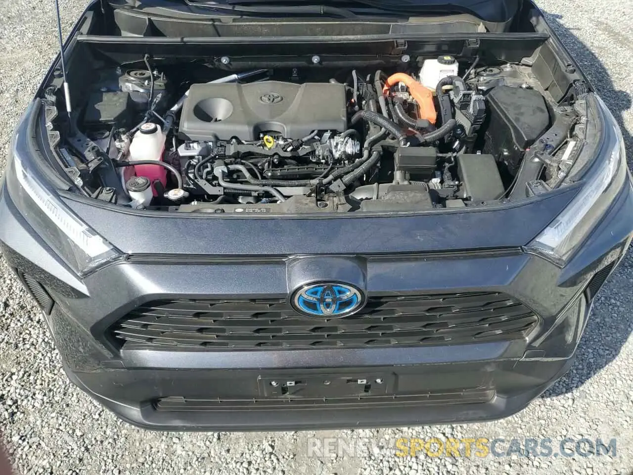 12 fotografías del automóvil dañado JTMRWRFVXRD218322 TOYOTA RAV4 2024