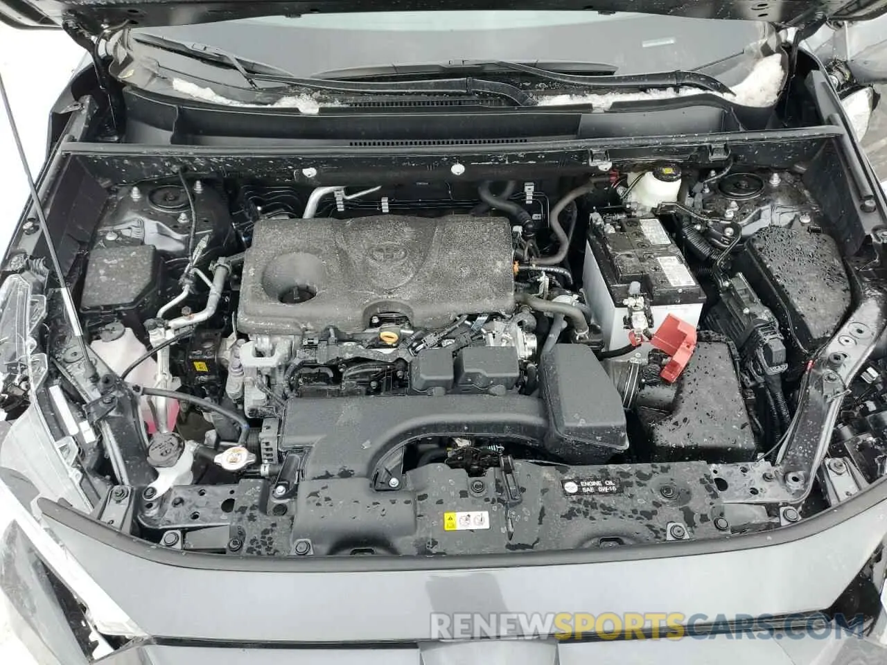 11 fotografías del automóvil dañado 2T3P1RFV0SC492483 TOYOTA RAV4 2025