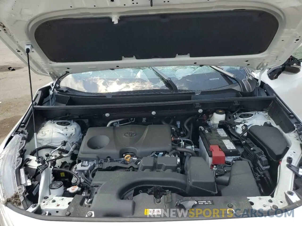 12 fotografías del automóvil dañado 2T3W1RFV0SC304346 TOYOTA RAV4 2025