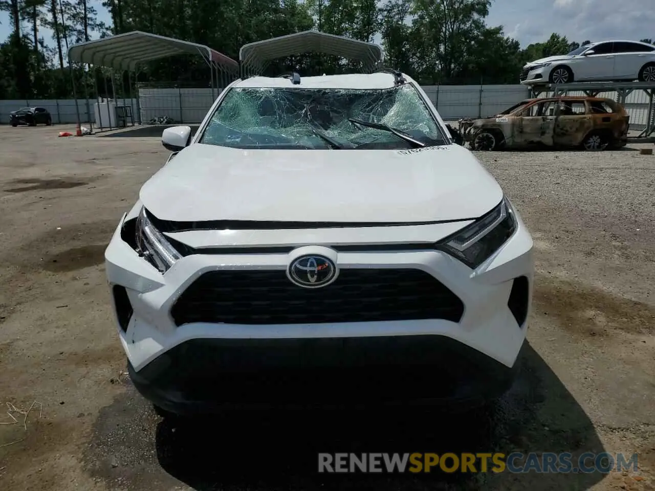 5 fotografías del automóvil dañado 2T3W1RFV0SC304346 TOYOTA RAV4 2025