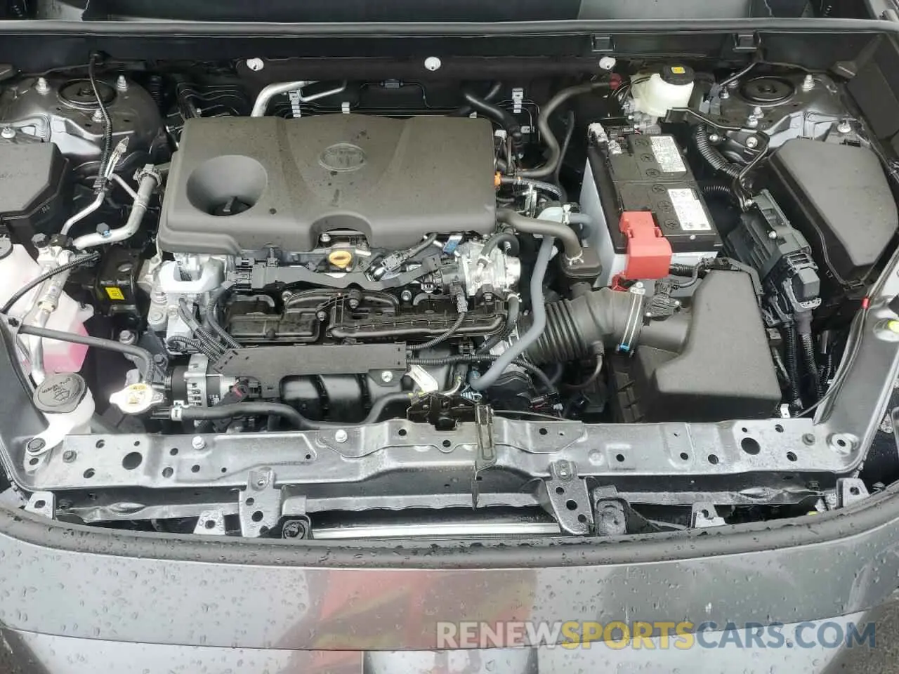 12 fotografías del automóvil dañado 2T3W1RFV0SC326542 TOYOTA RAV4 2025