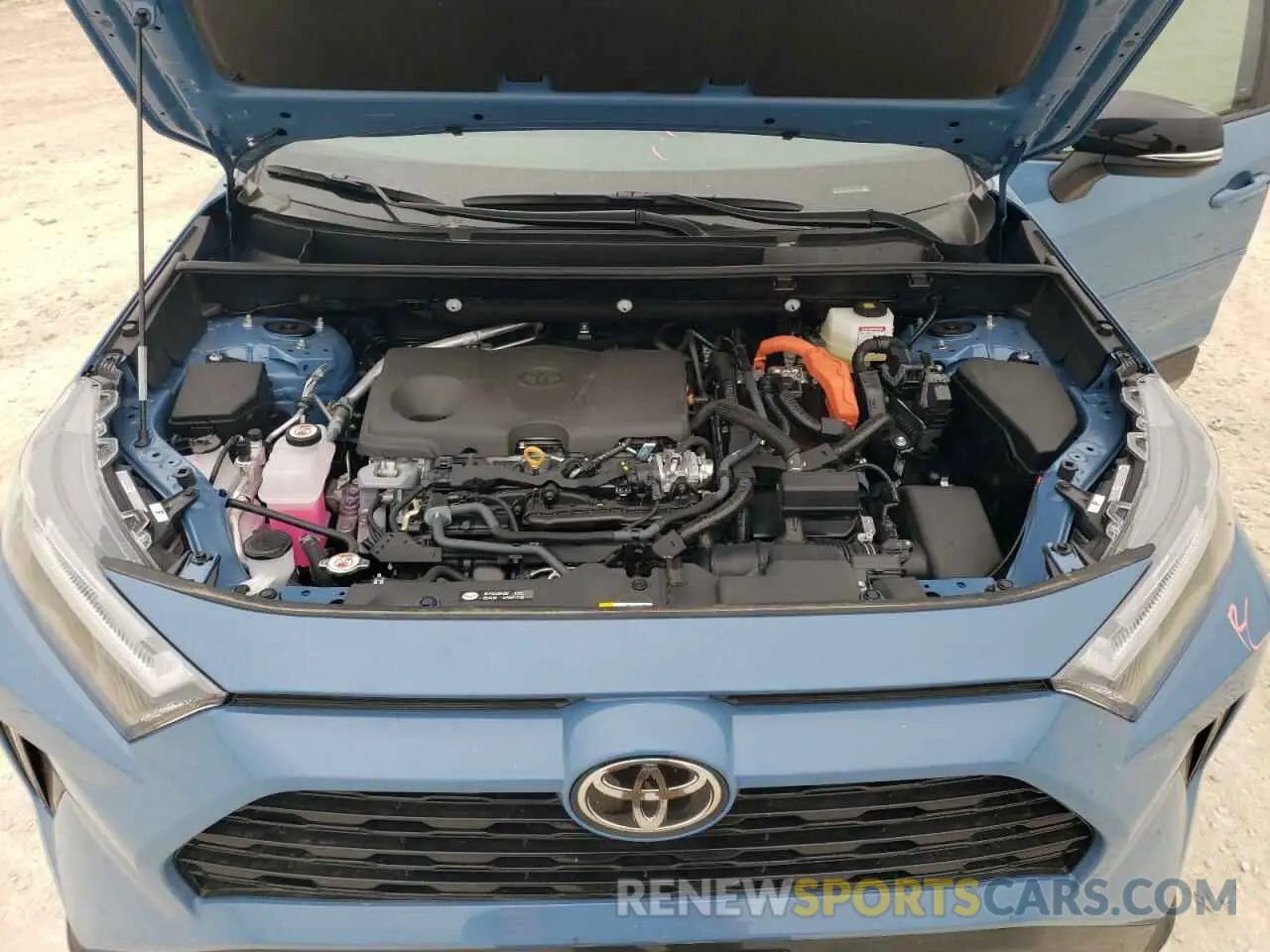12 fotografías del automóvil dañado 4T3E6RFV6SU176402 TOYOTA RAV4 2025