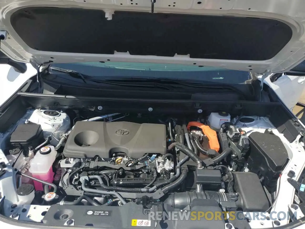 11 fotografías del automóvil dañado 4T3LWRFV0SU173146 TOYOTA RAV4 2025