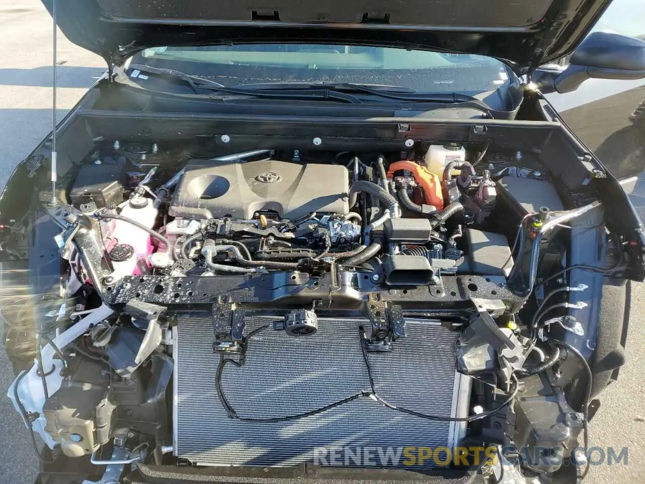 12 fotografías del automóvil dañado 4T3LWRFVXSU178077 TOYOTA RAV4 2025