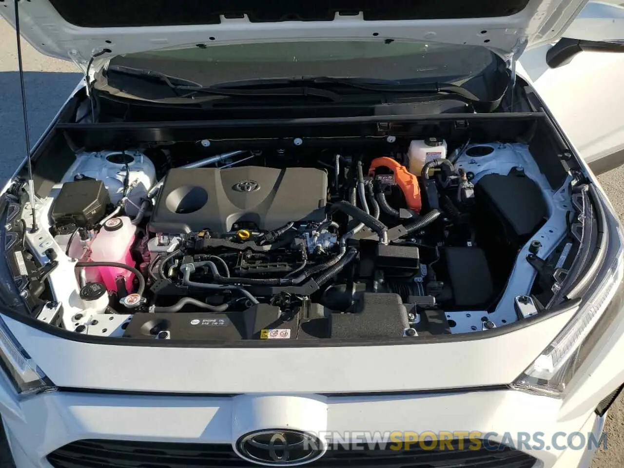 12 fotografías del automóvil dañado JTMRWRFV7SD294893 TOYOTA RAV4 2025
