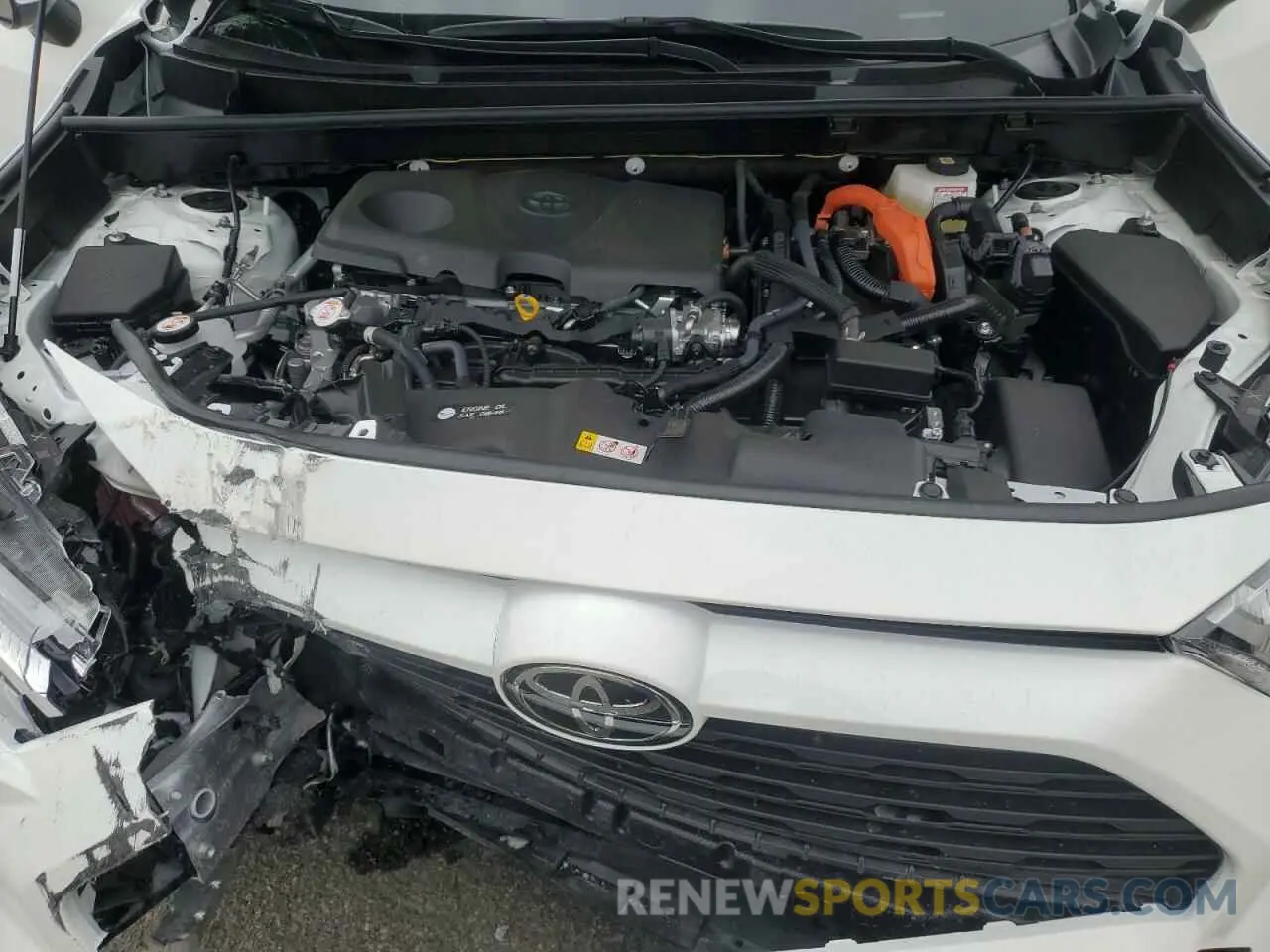 14 fotografías del automóvil dañado JTMRWRFV8SD284583 TOYOTA RAV4 2025