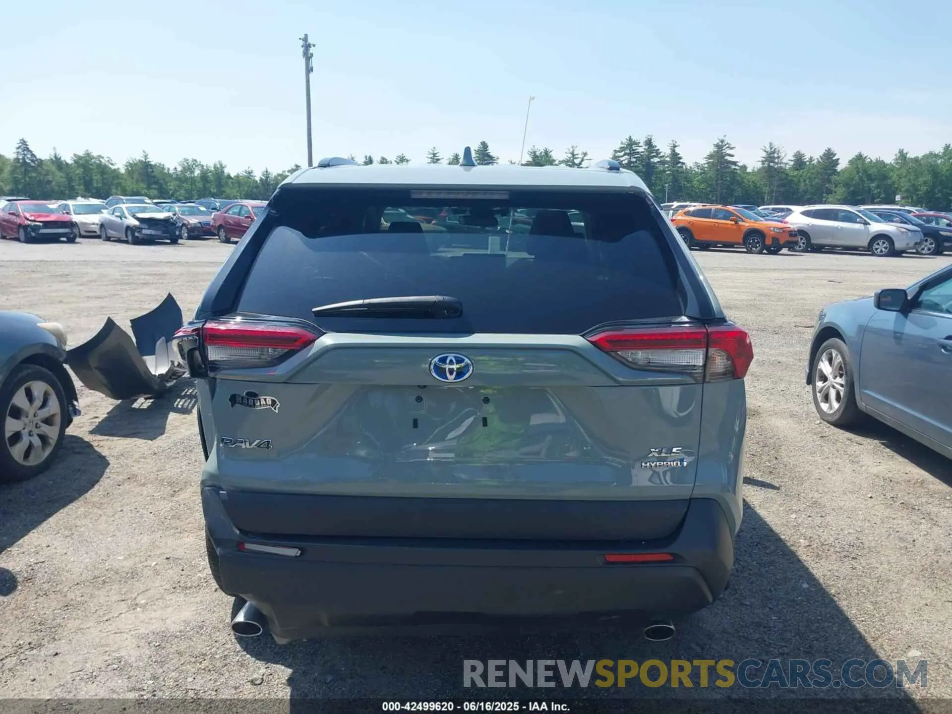 15 fotografías del automóvil dañado 2T3RWRFV2KW020164 TOYOTA RAV4 HYBRID 2019