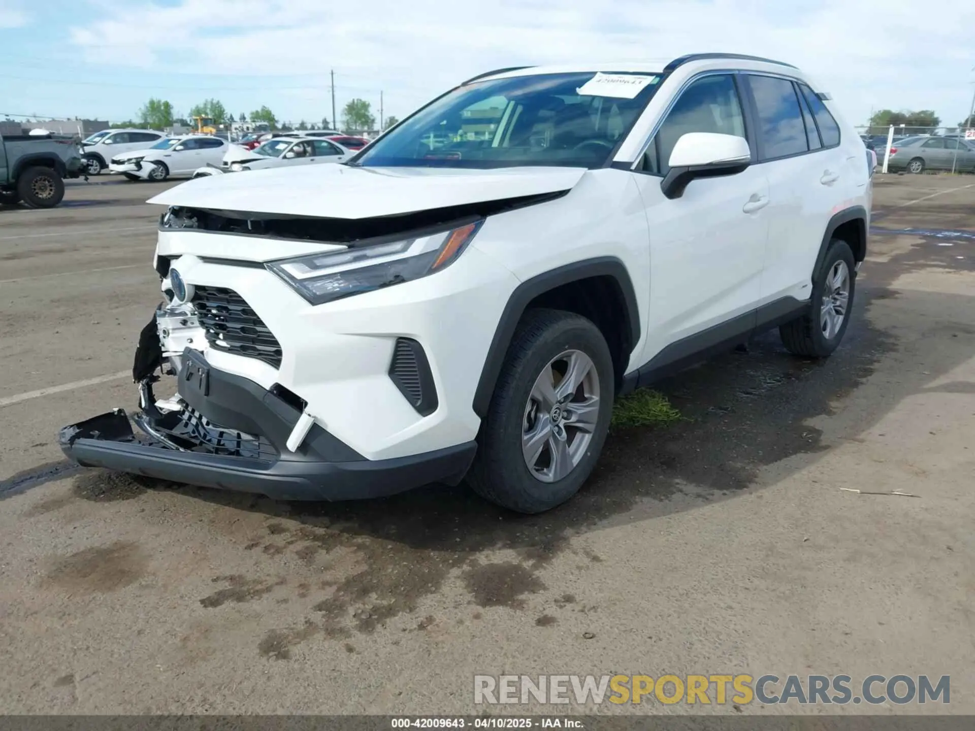 2 fotografías del automóvil dañado JTMMWRFV1RD208899 TOYOTA RAV4 HYBRID 2024