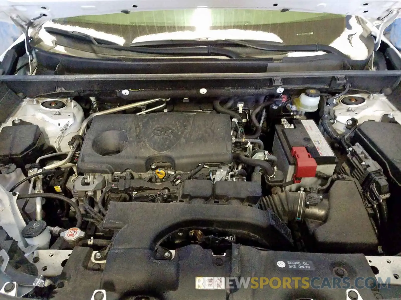 7 fotografías del automóvil dañado JTMP1RFV0KD507060 TOYOTA RAV4 XLE 2019