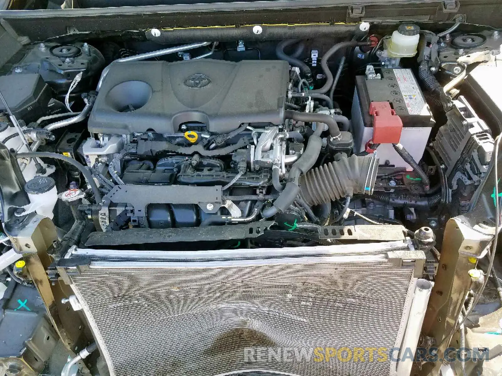7 fotografías del automóvil dañado JTMP1RFV8KD006496 TOYOTA RAV4 XLE 2019