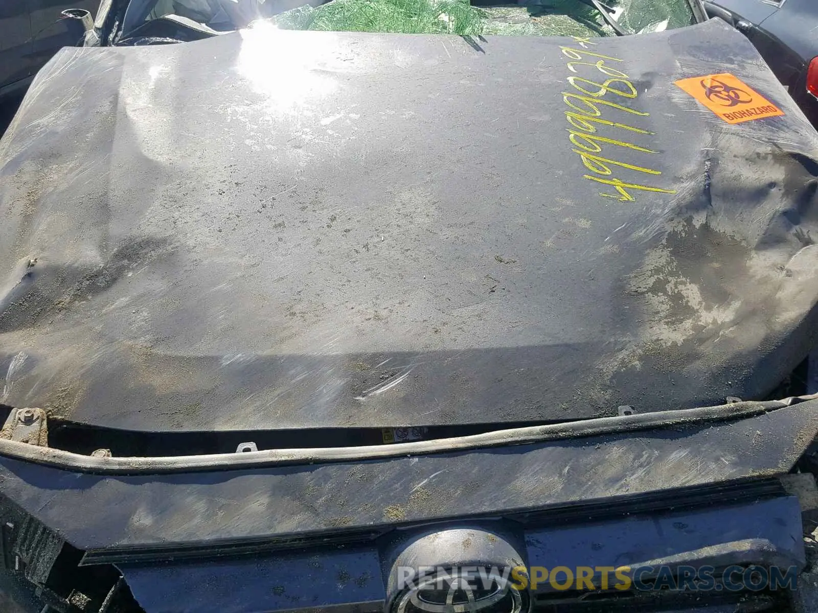 7 fotografías del automóvil dañado JTMA1RFV0KD026117 TOYOTA RAV4 XLE P 2019