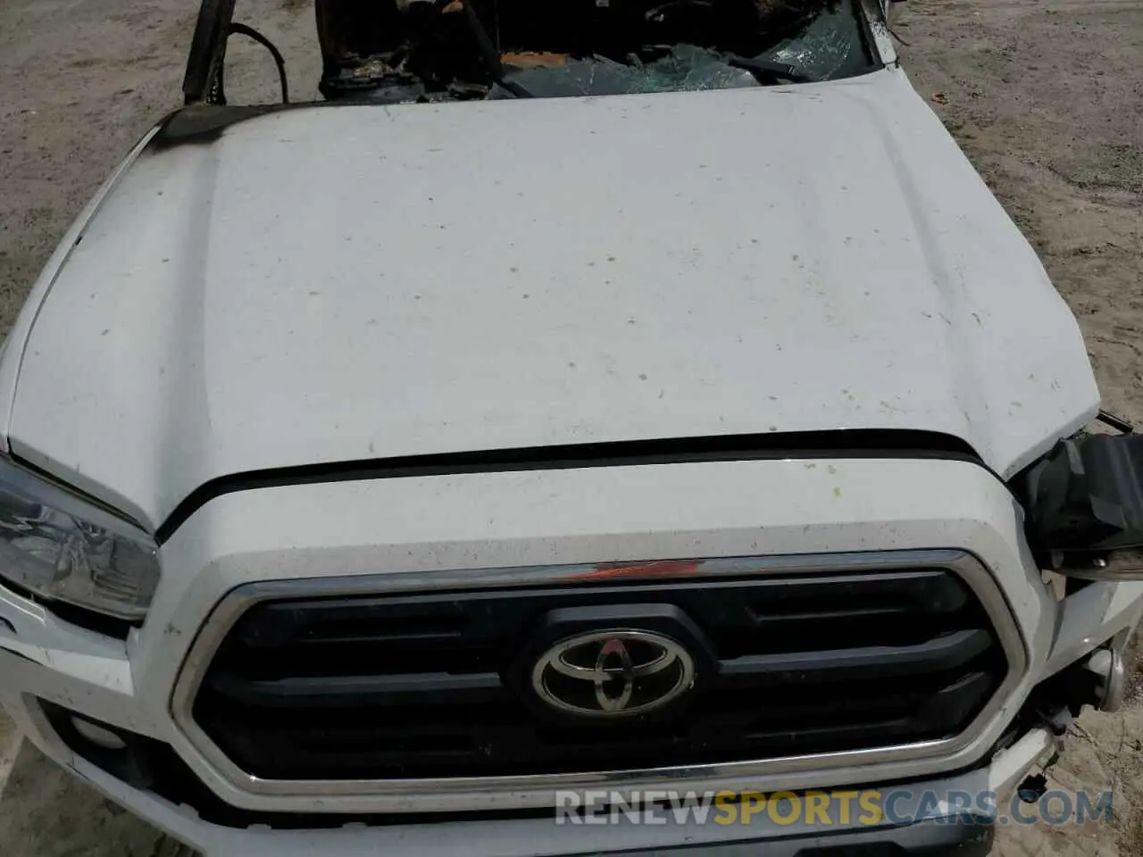 12 fotografías del automóvil dañado 3TMAZ5CN0KM094976 TOYOTA TACOMA 2019