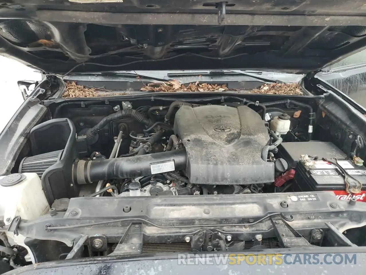 12 fotografías del automóvil dañado 3TMAZ5CN2KM103127 TOYOTA TACOMA 2019