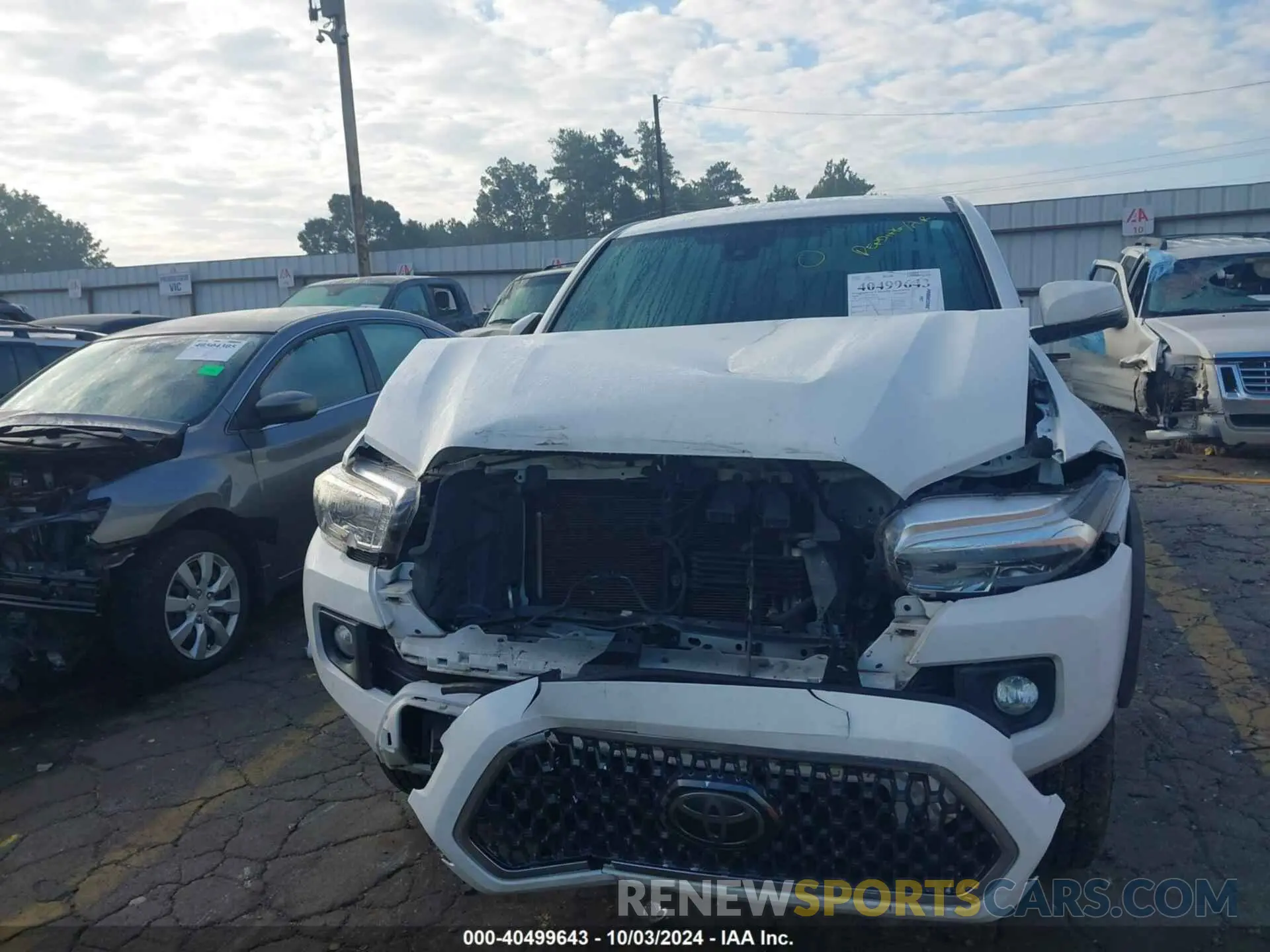 12 fotografías del automóvil dañado 3TMAZ5CN6KM091273 TOYOTA TACOMA 2019