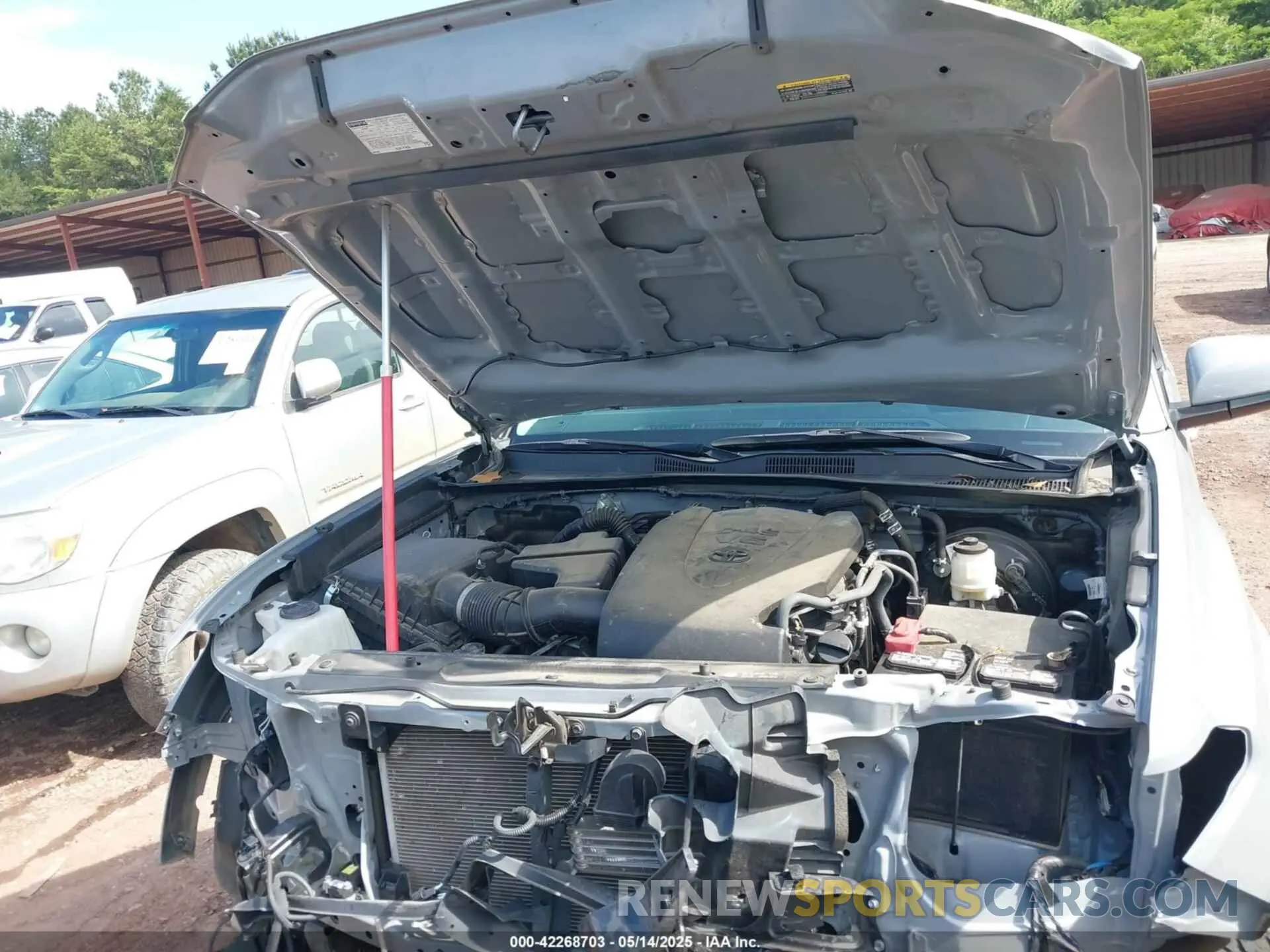 10 fotografías del automóvil dañado 3TMAZ5CN6KM102109 TOYOTA TACOMA 2019