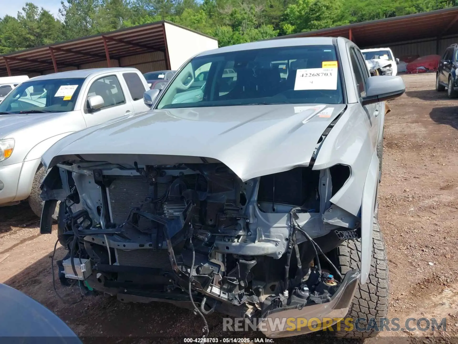 12 fotografías del automóvil dañado 3TMAZ5CN6KM102109 TOYOTA TACOMA 2019