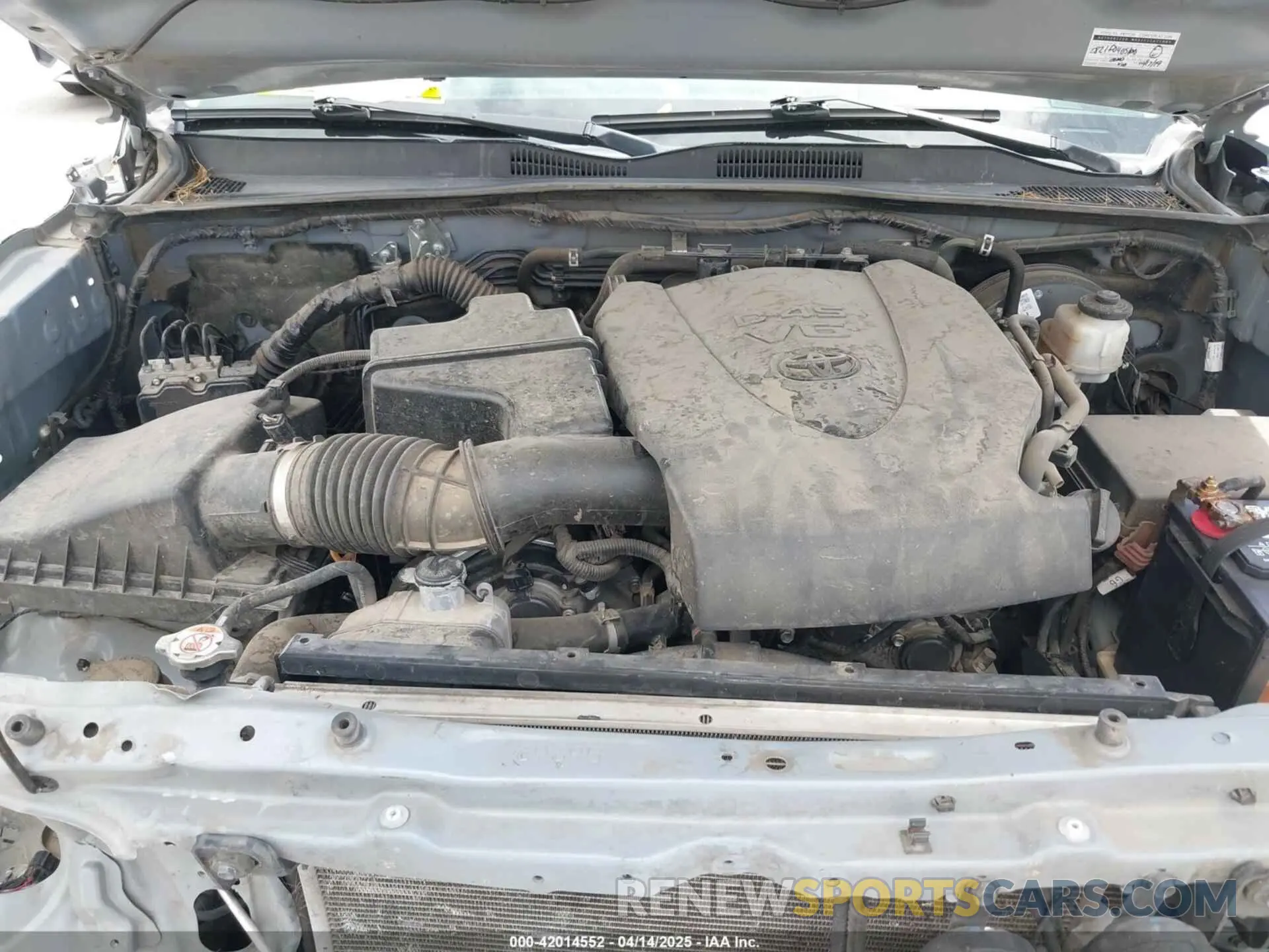 10 fotografías del automóvil dañado 3TMAZ5CNXKM079739 TOYOTA TACOMA 2019