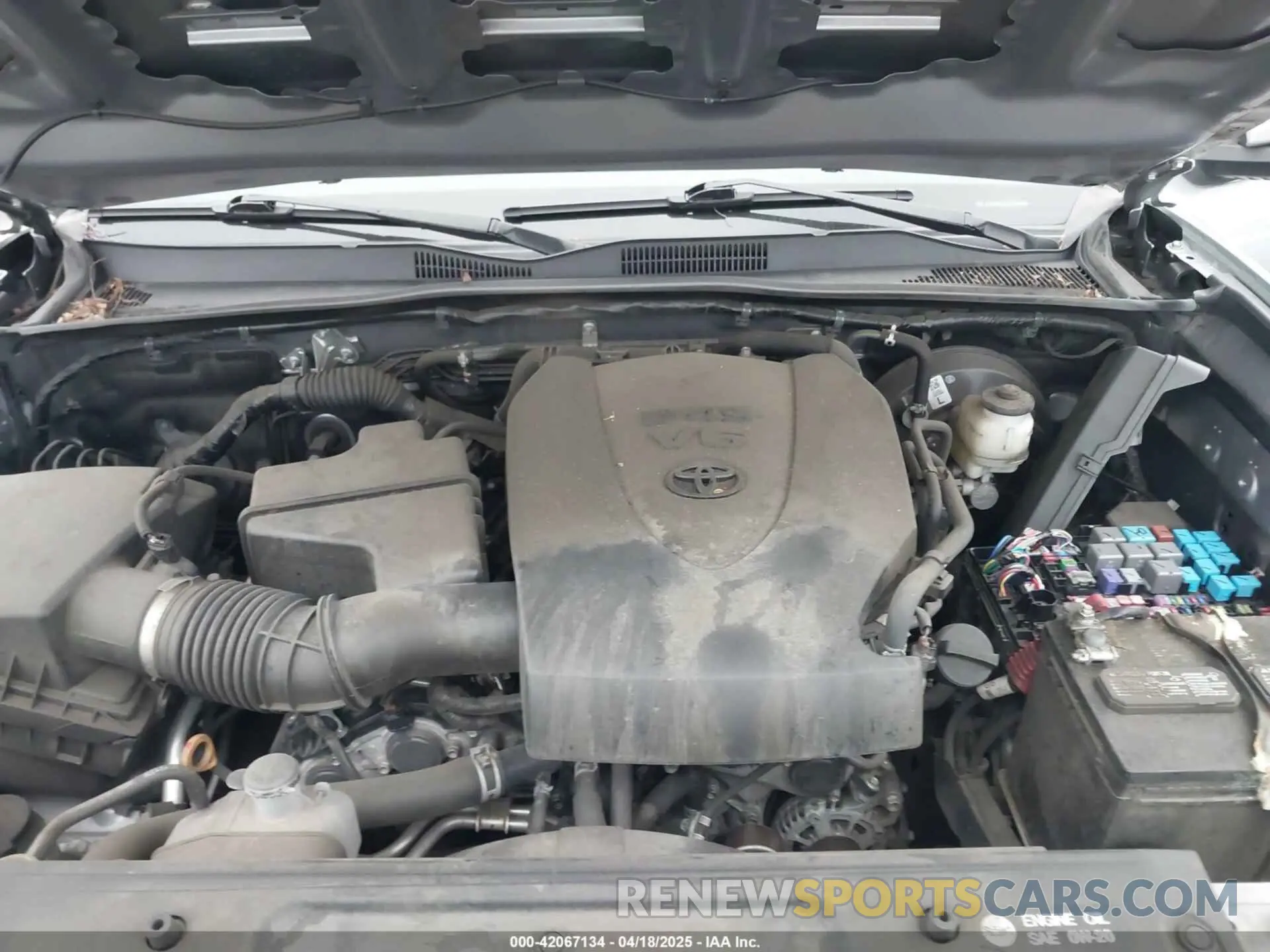 10 fotografías del automóvil dañado 3TMAZ5CNXKM113176 TOYOTA TACOMA 2019