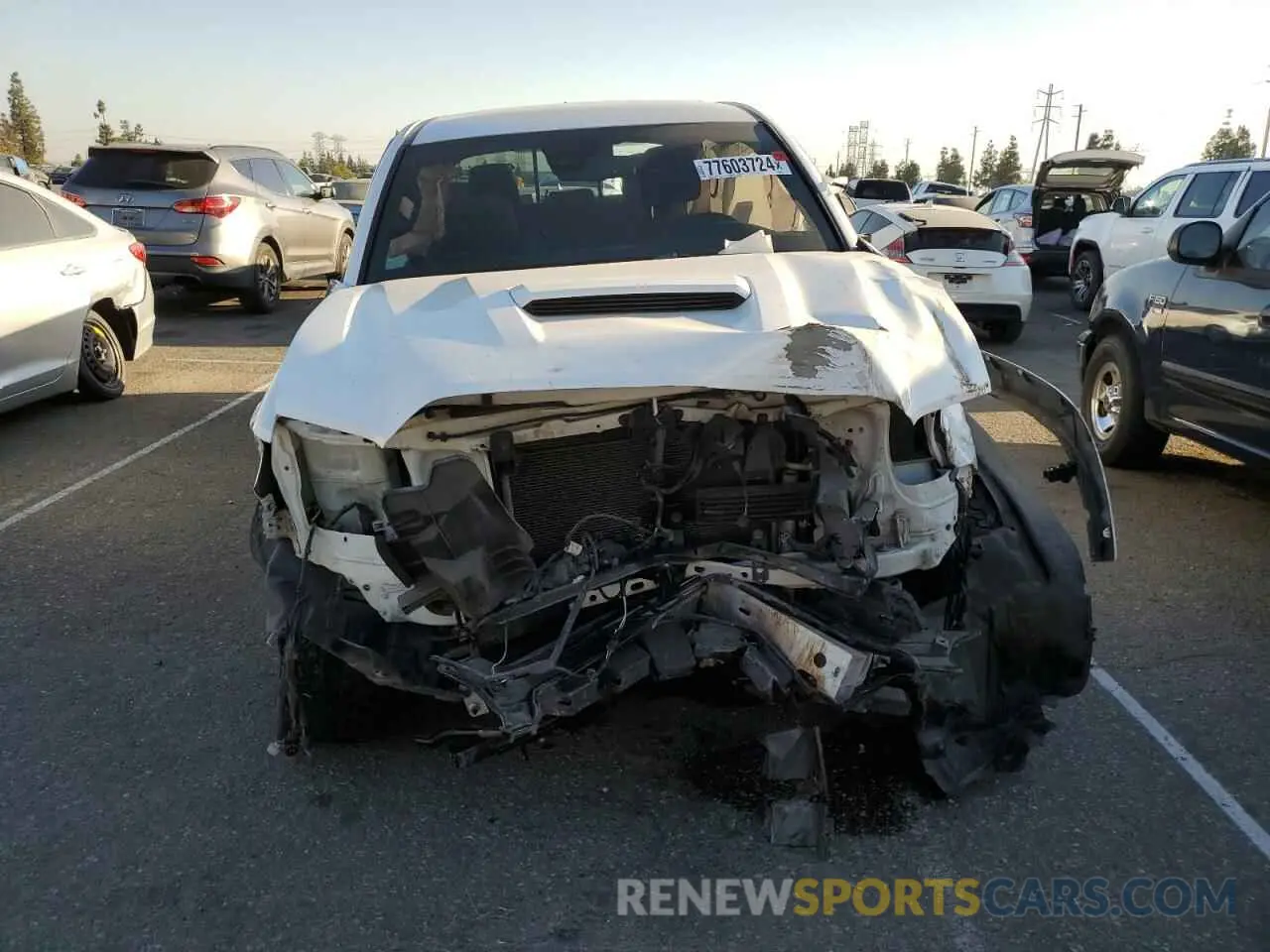 5 fotografías del automóvil dañado 3TMBZ5DN0KM018287 TOYOTA TACOMA 2019