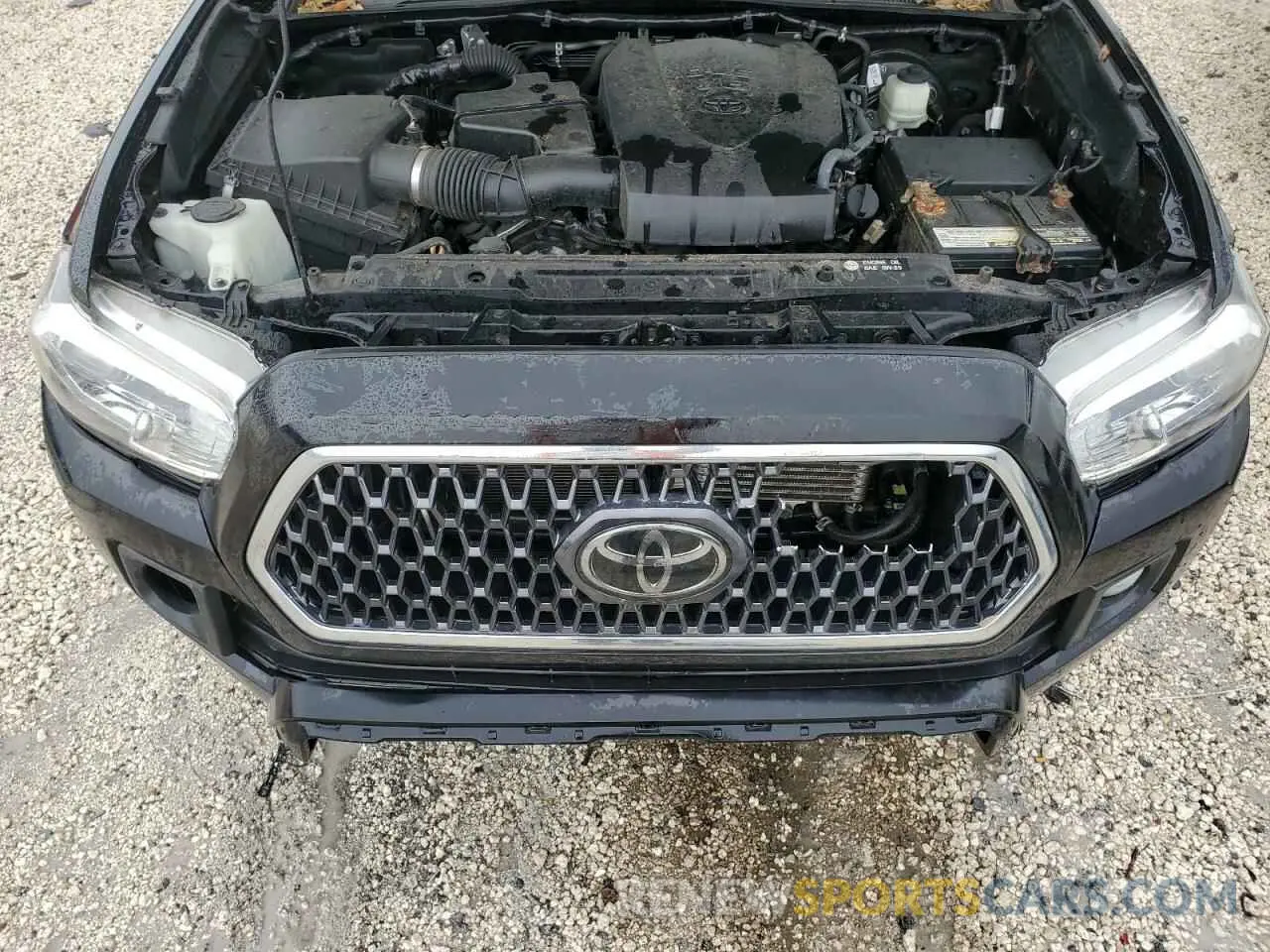 11 fotografías del automóvil dañado 3TMBZ5DN9KM022807 TOYOTA TACOMA 2019