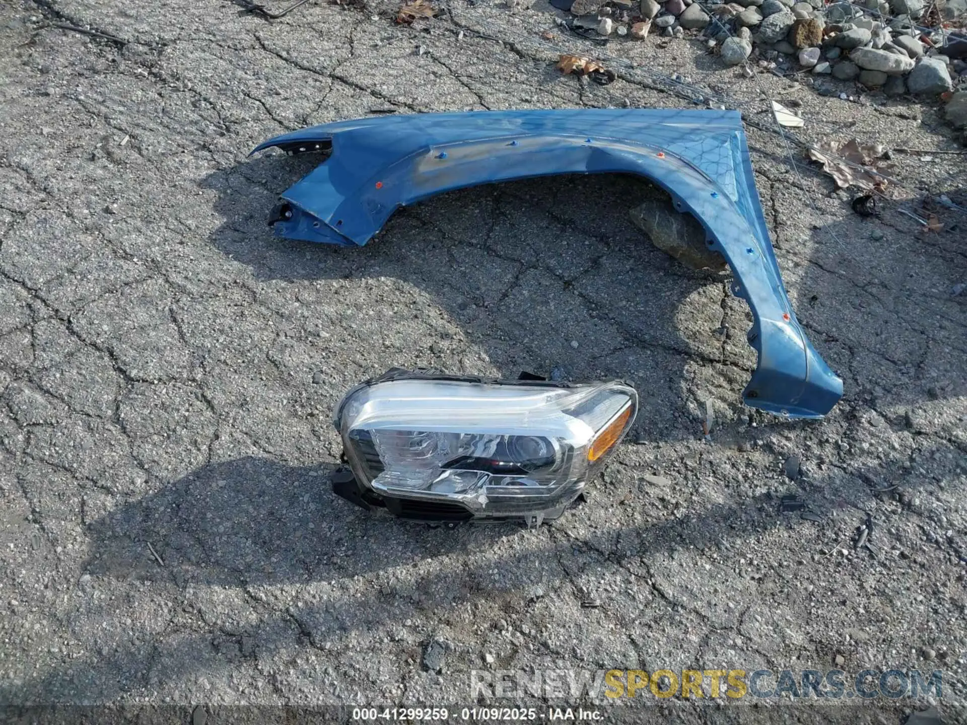 12 fotografías del automóvil dañado 3TMCZ5AN0KM206557 TOYOTA TACOMA 2019