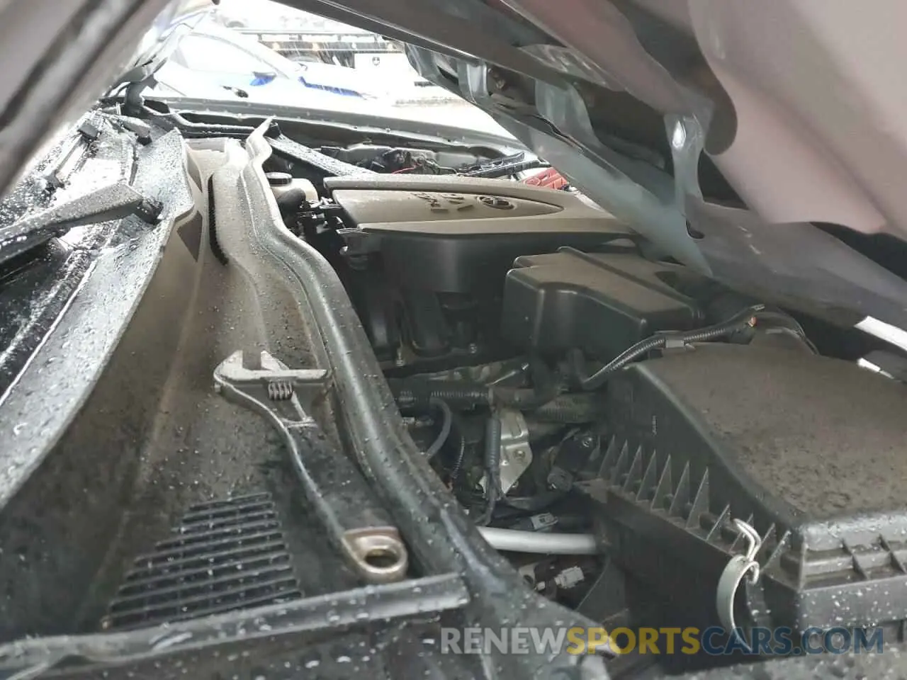 13 fotografías del automóvil dañado 3TMCZ5AN0KM222807 TOYOTA TACOMA 2019