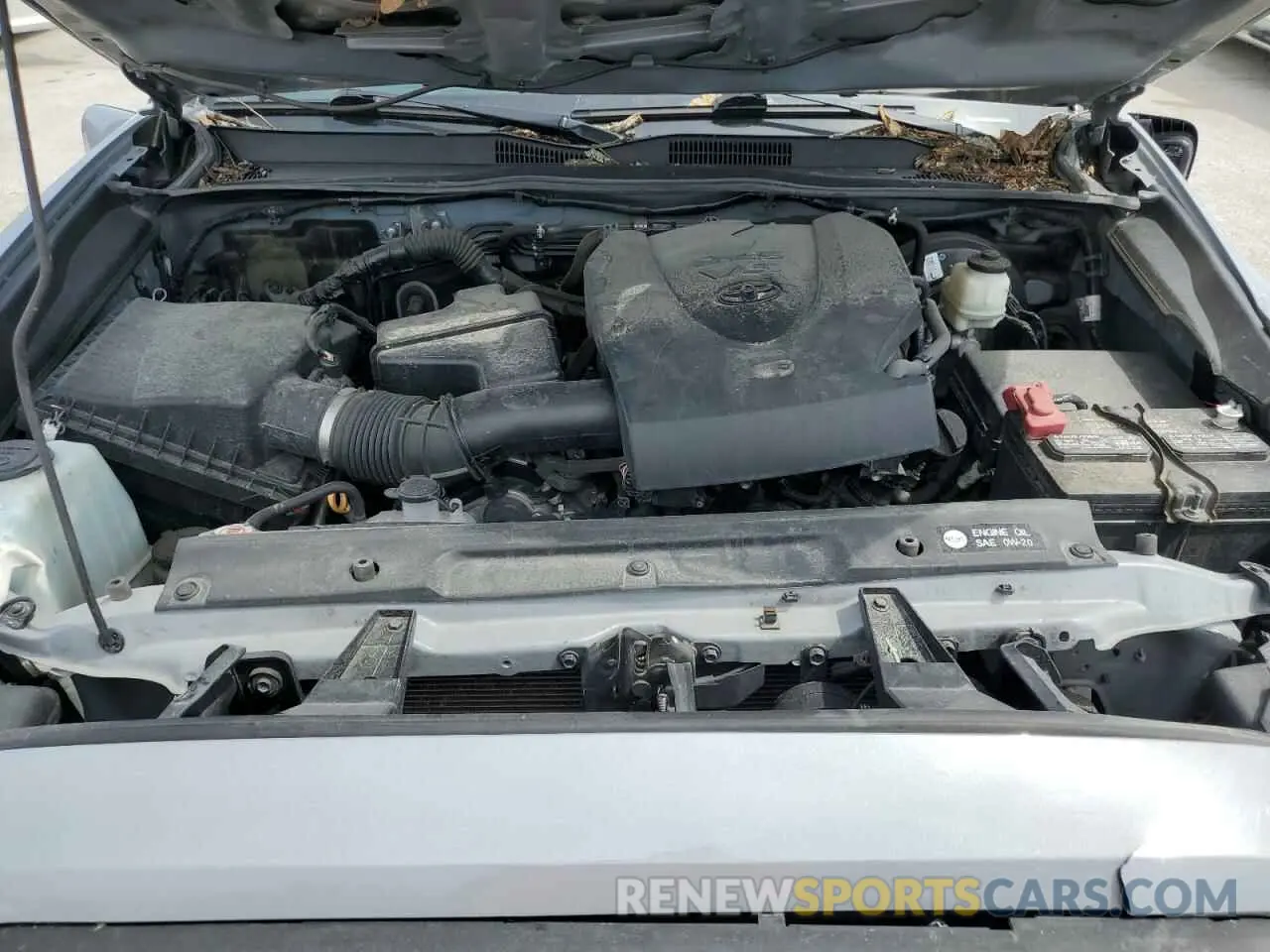 11 fotografías del automóvil dañado 3TMCZ5AN0KM224296 TOYOTA TACOMA 2019