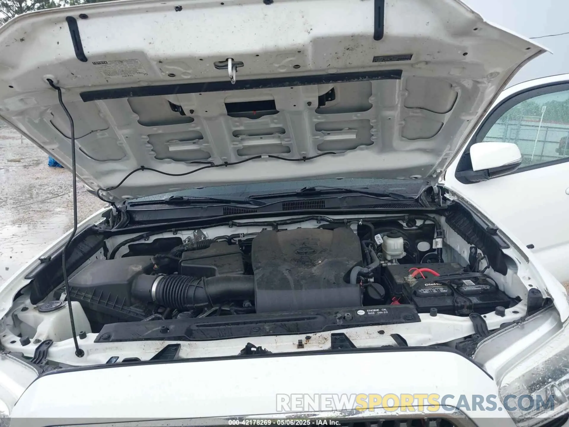 10 fotografías del automóvil dañado 3TMCZ5AN0KM232852 TOYOTA TACOMA 2019