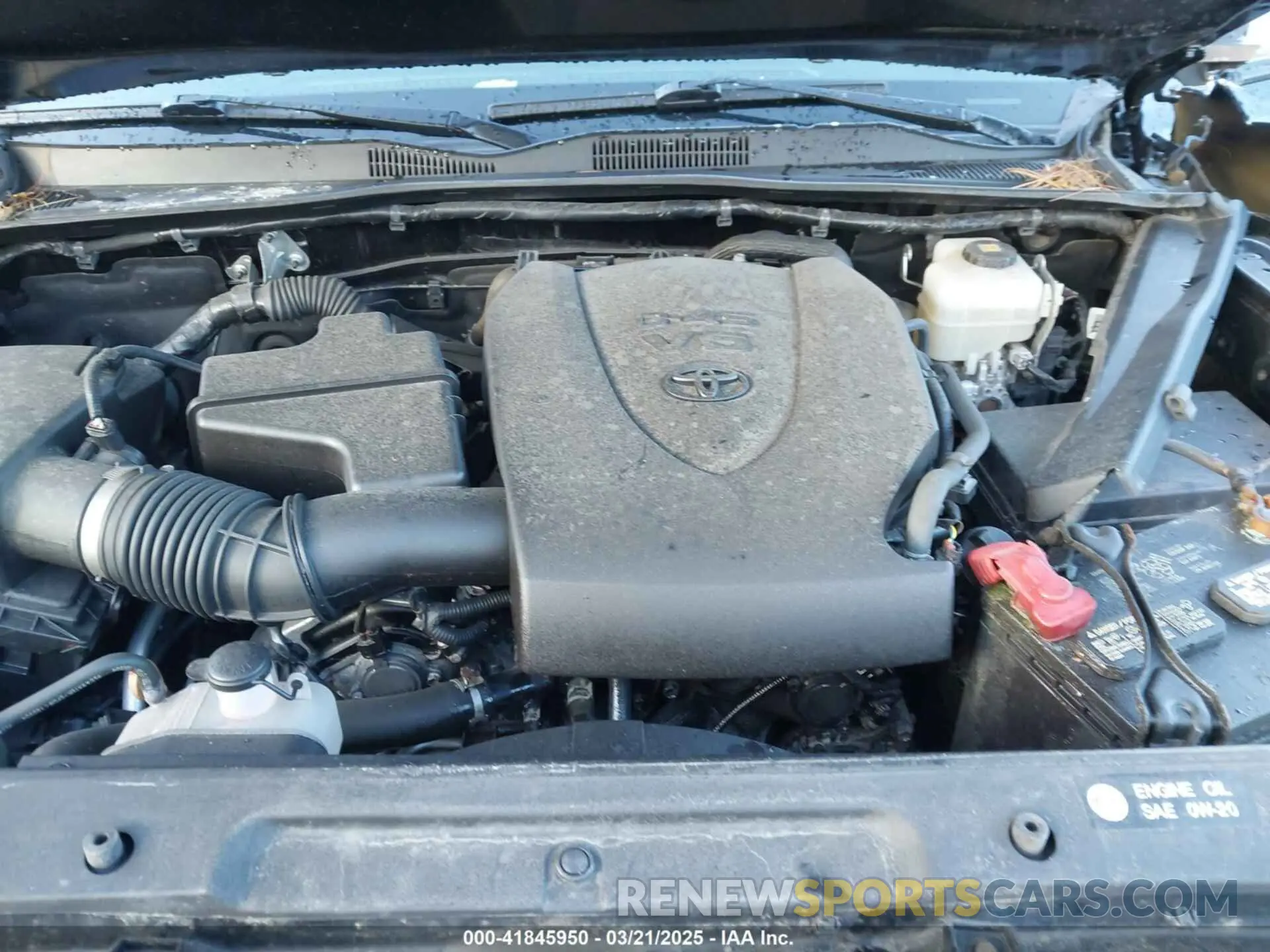 10 fotografías del automóvil dañado 3TMCZ5AN0KM261364 TOYOTA TACOMA 2019
