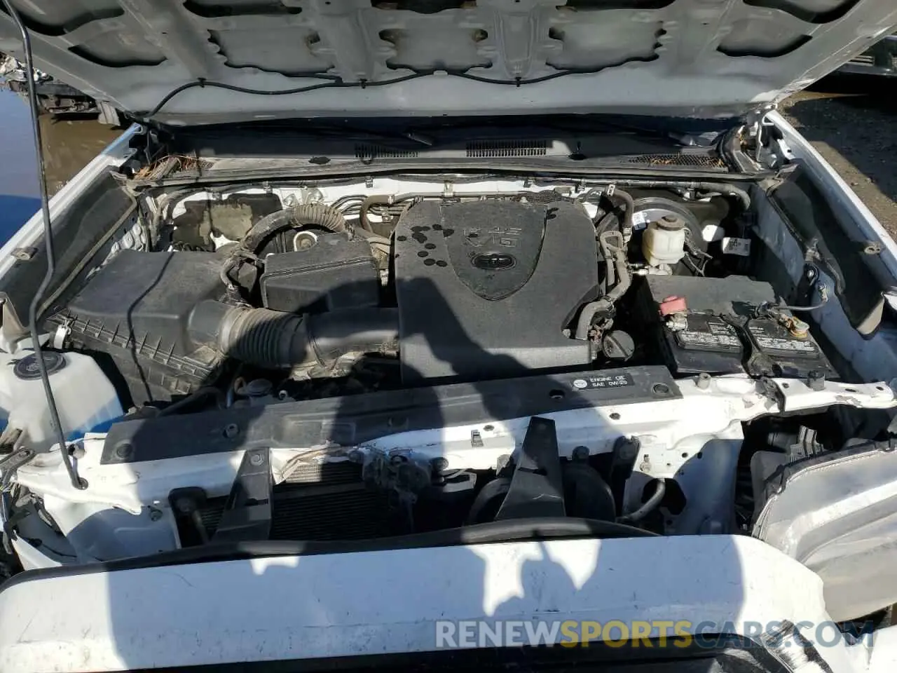 11 fotografías del automóvil dañado 3TMCZ5AN1KM238403 TOYOTA TACOMA 2019