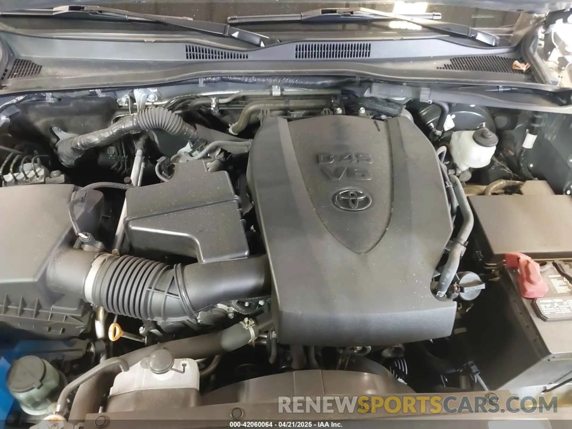 10 fotografías del automóvil dañado 3TMCZ5AN1KM256173 TOYOTA TACOMA 2019