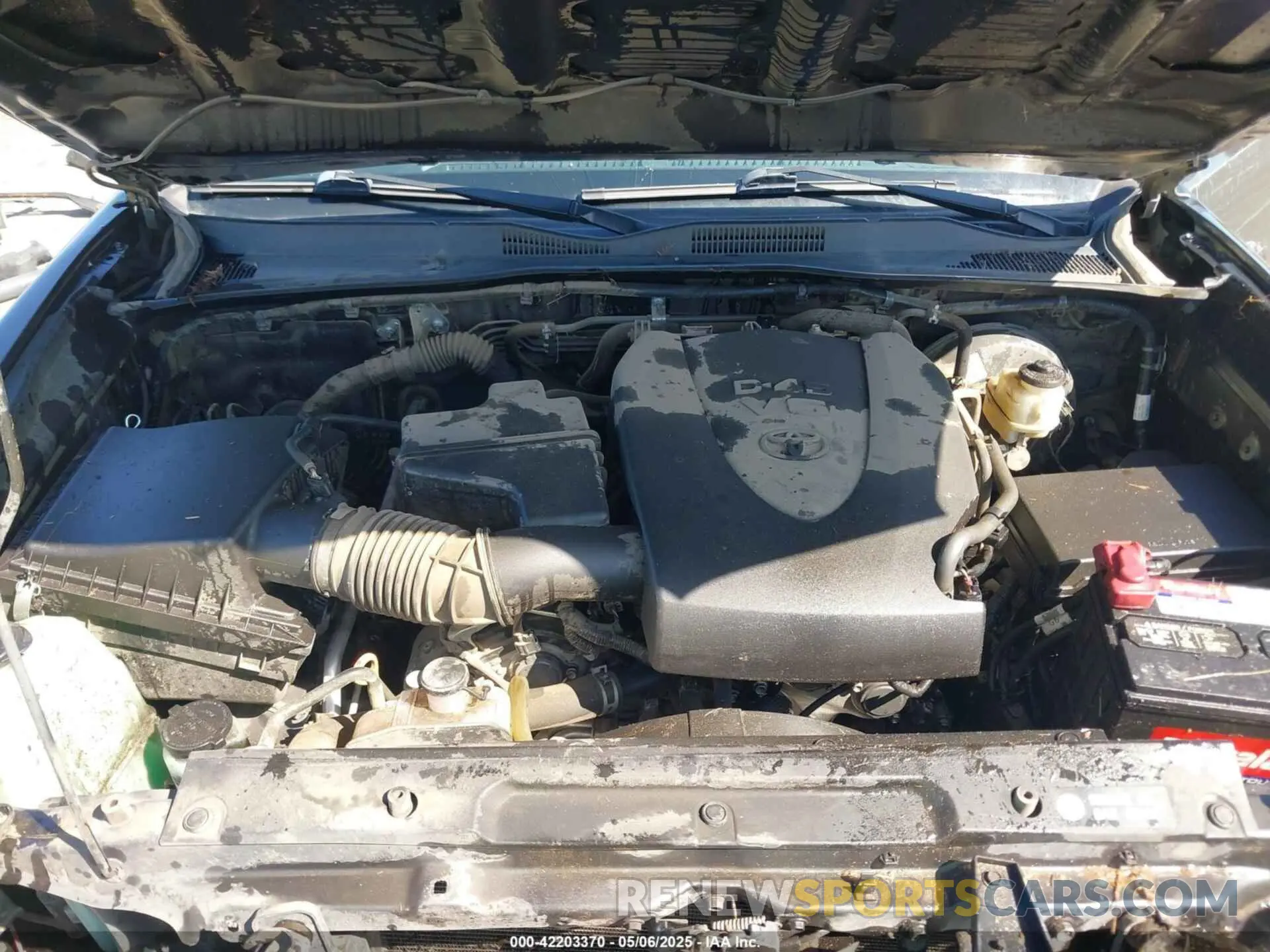10 fotografías del automóvil dañado 3TMCZ5AN1KM272891 TOYOTA TACOMA 2019