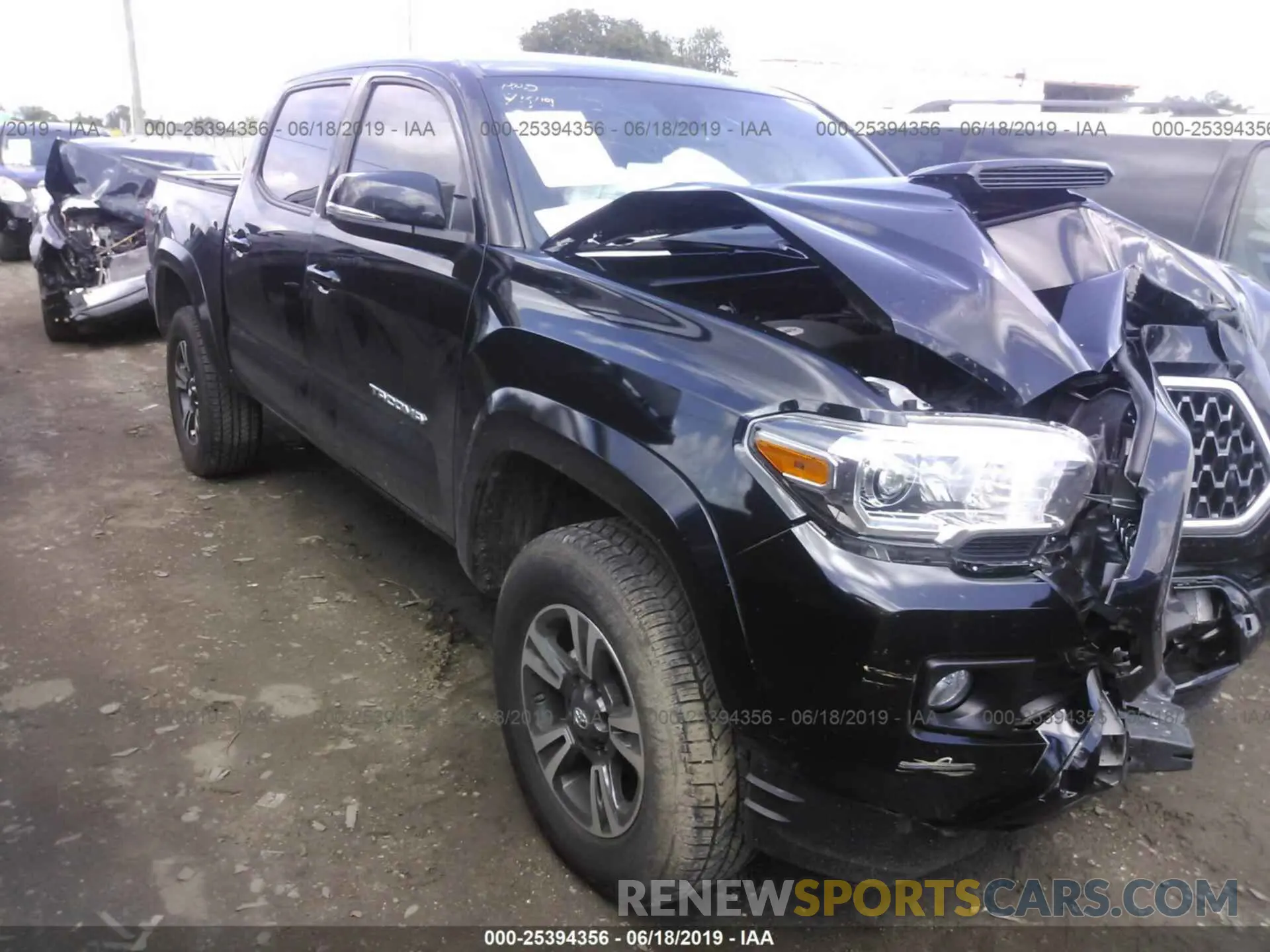 1 fotografías del automóvil dañado 3TMCZ5AN2KM201862 TOYOTA TACOMA 2019
