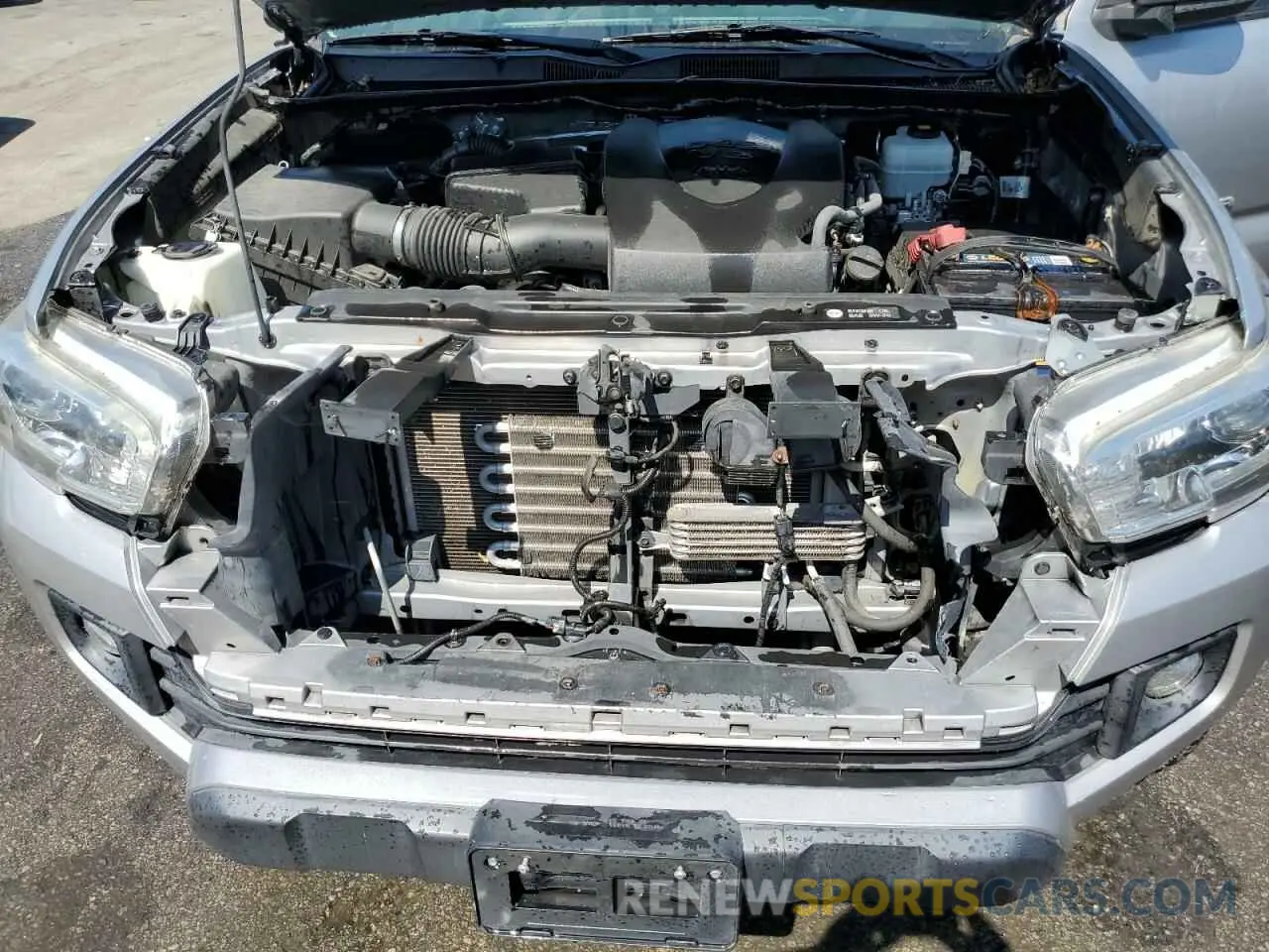 11 fotografías del automóvil dañado 3TMCZ5AN2KM264721 TOYOTA TACOMA 2019