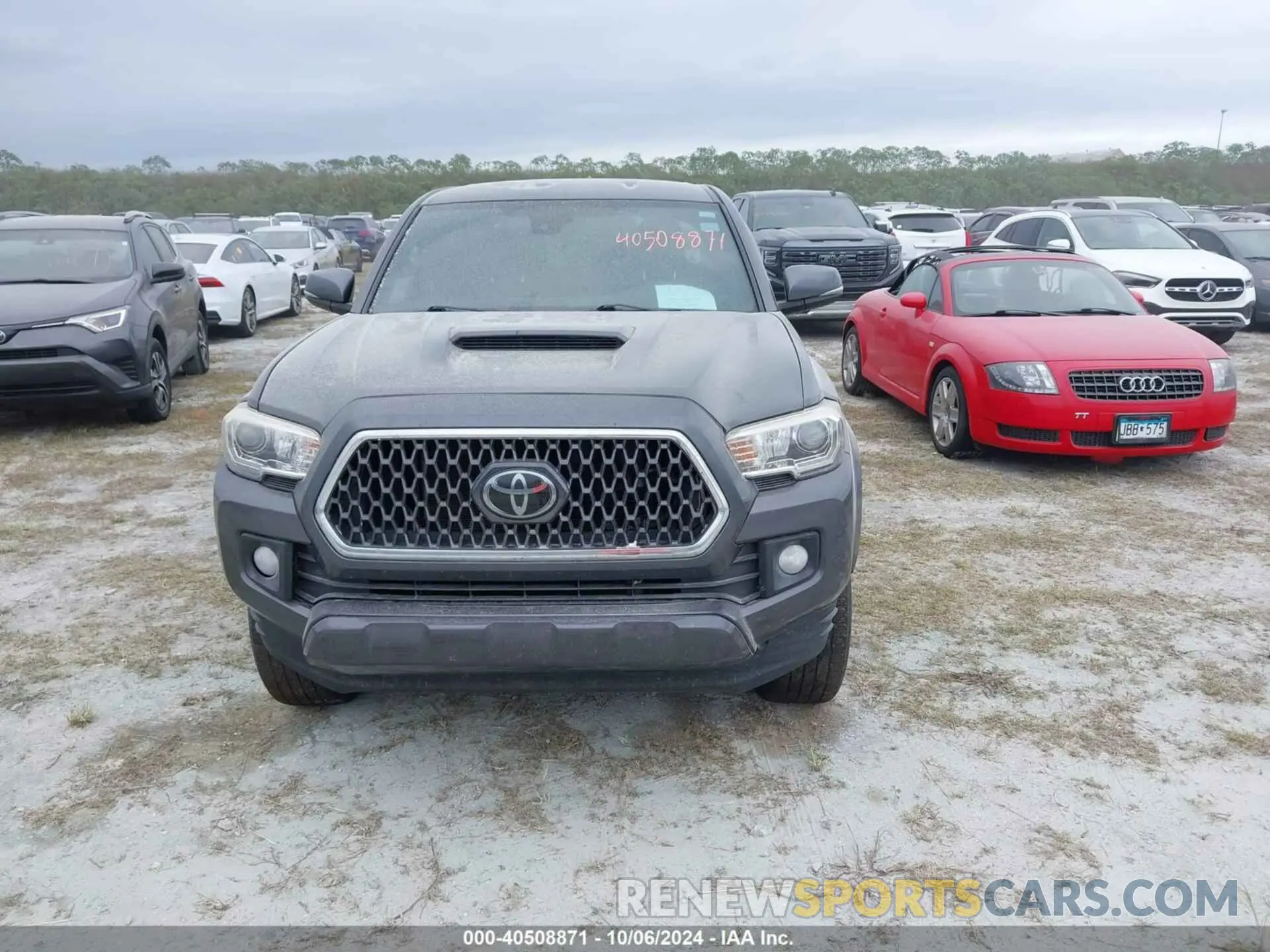 12 fotografías del automóvil dañado 3TMCZ5AN3KM233140 TOYOTA TACOMA 2019