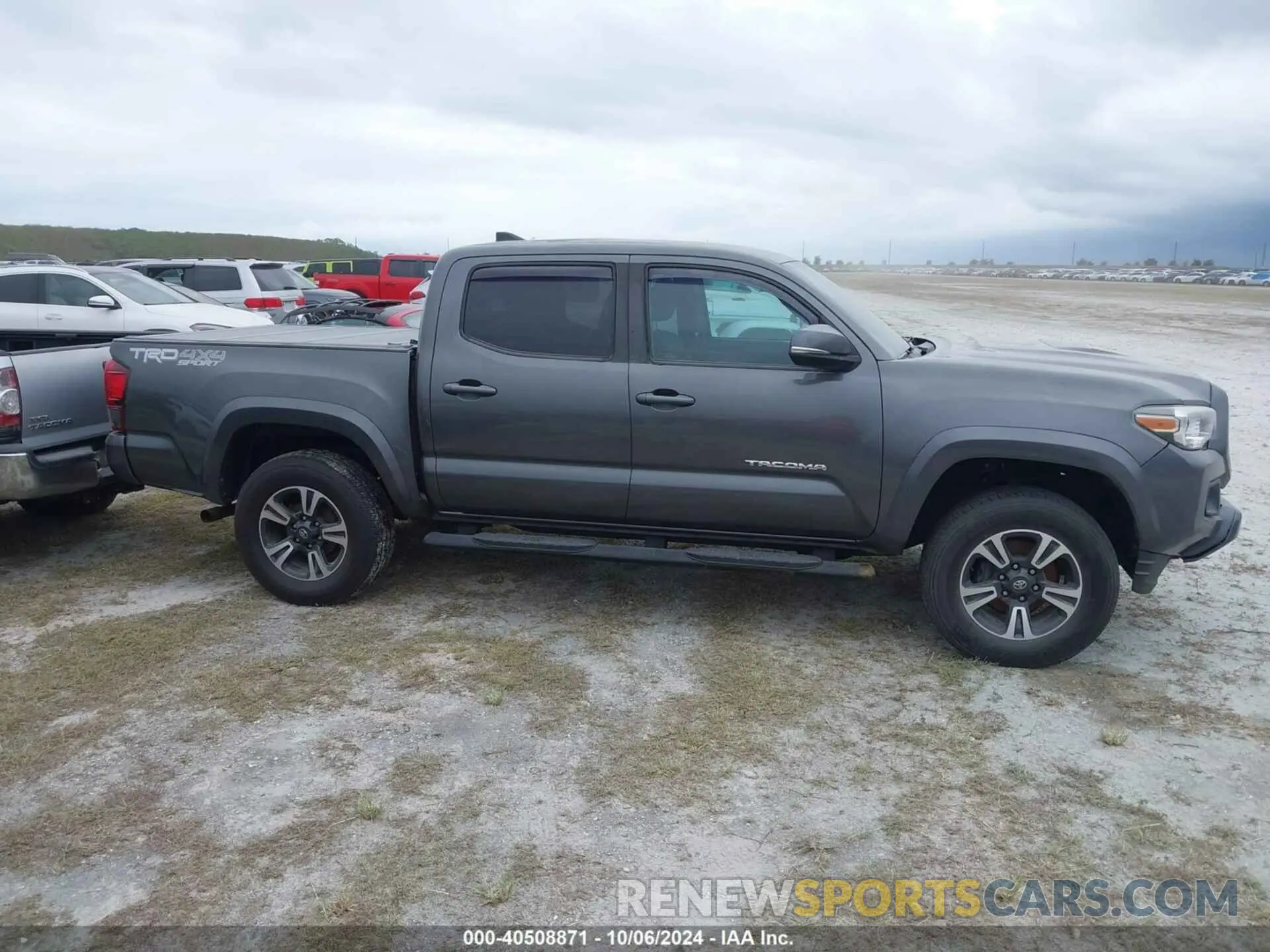 13 fotografías del automóvil dañado 3TMCZ5AN3KM233140 TOYOTA TACOMA 2019