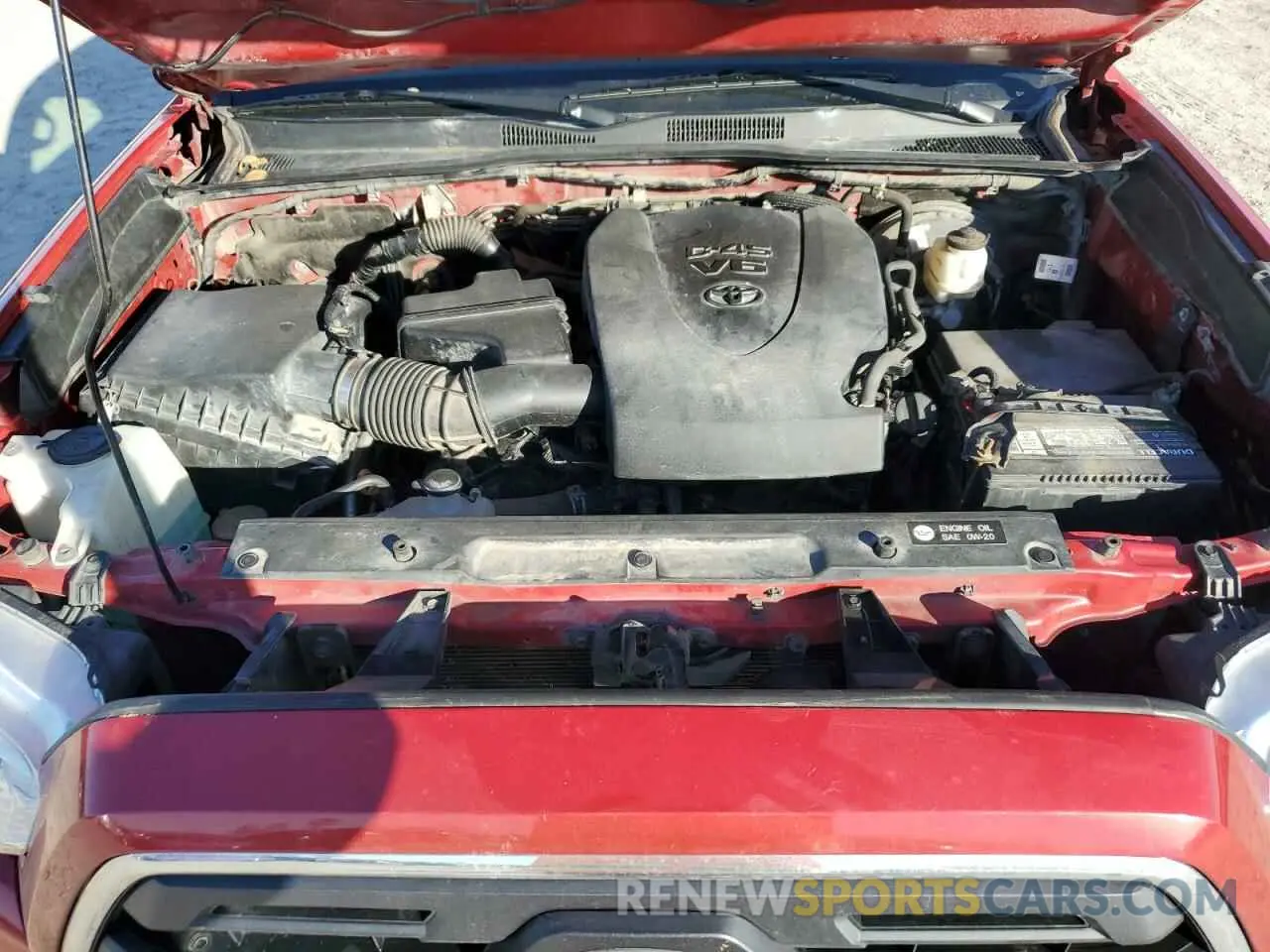 11 fotografías del automóvil dañado 3TMCZ5AN3KM238659 TOYOTA TACOMA 2019