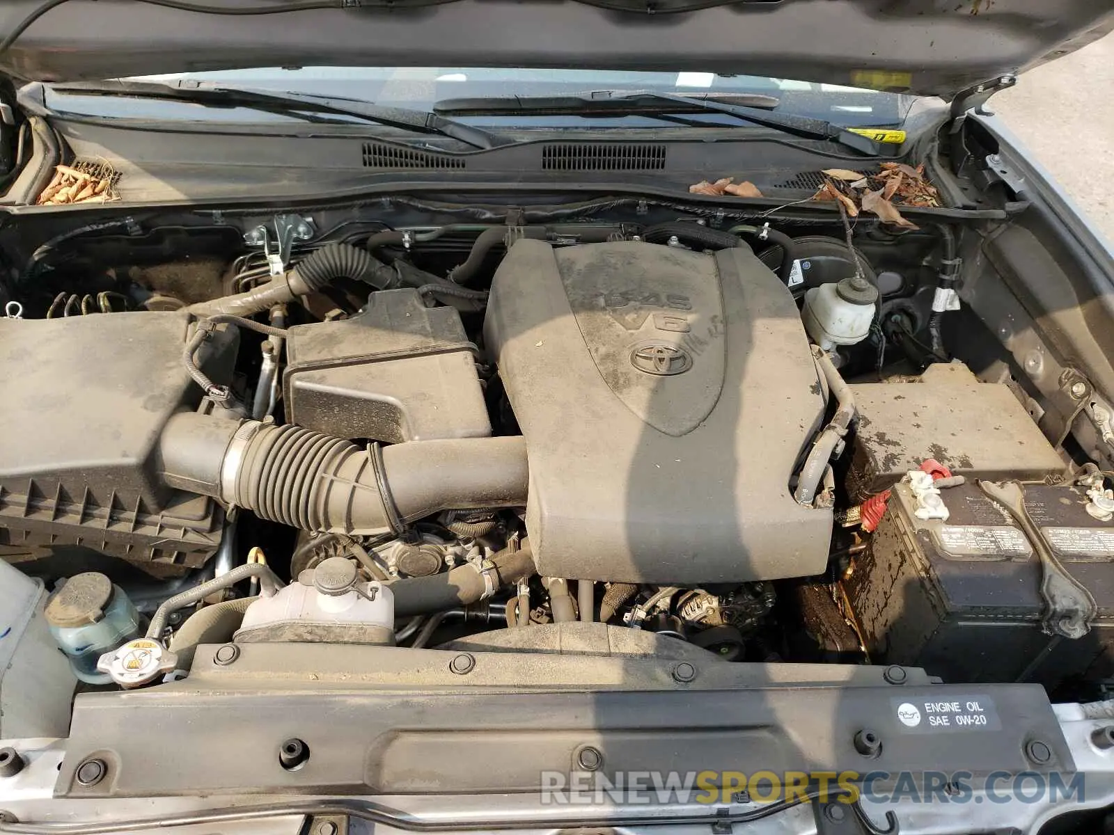 7 fotografías del automóvil dañado 3TMCZ5AN3KM271225 TOYOTA TACOMA 2019