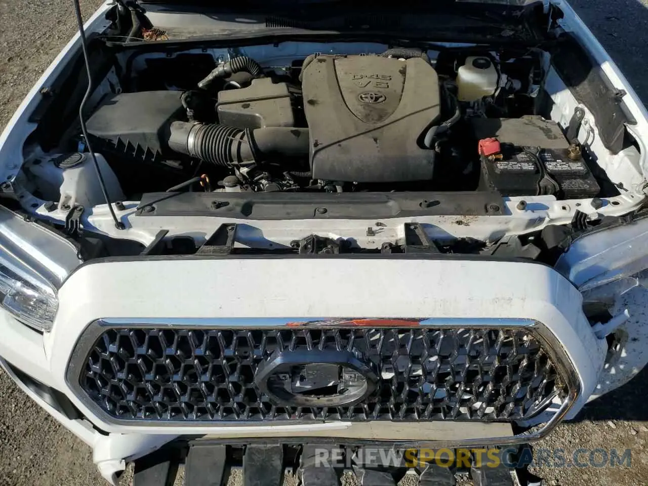 11 fotografías del automóvil dañado 3TMCZ5AN3KM285772 TOYOTA TACOMA 2019