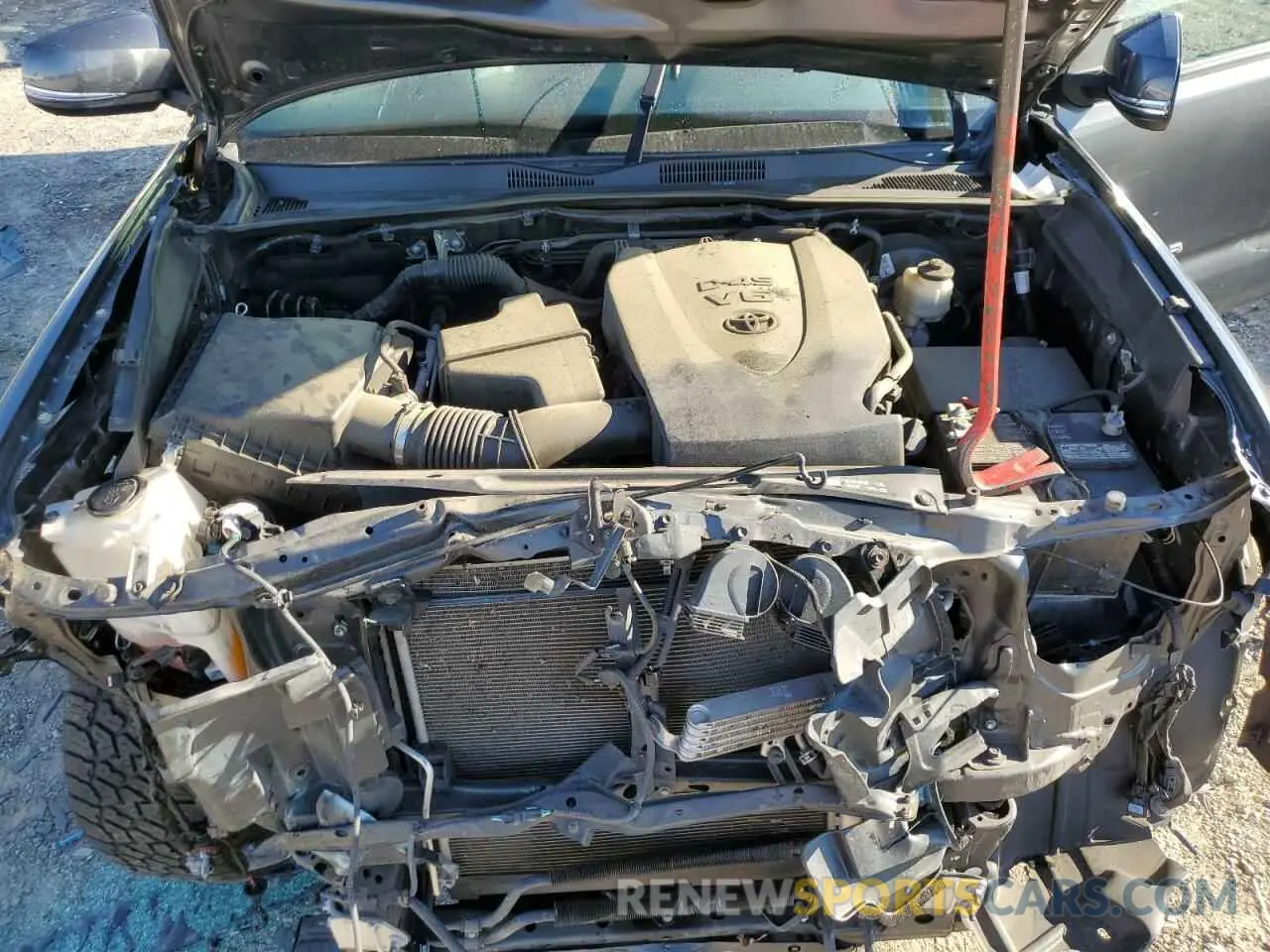 11 fotografías del automóvil dañado 3TMCZ5AN4KM273999 TOYOTA TACOMA 2019
