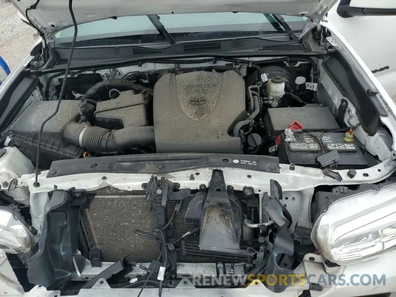 13 fotografías del automóvil dañado 3TMCZ5AN5KM221264 TOYOTA TACOMA 2019