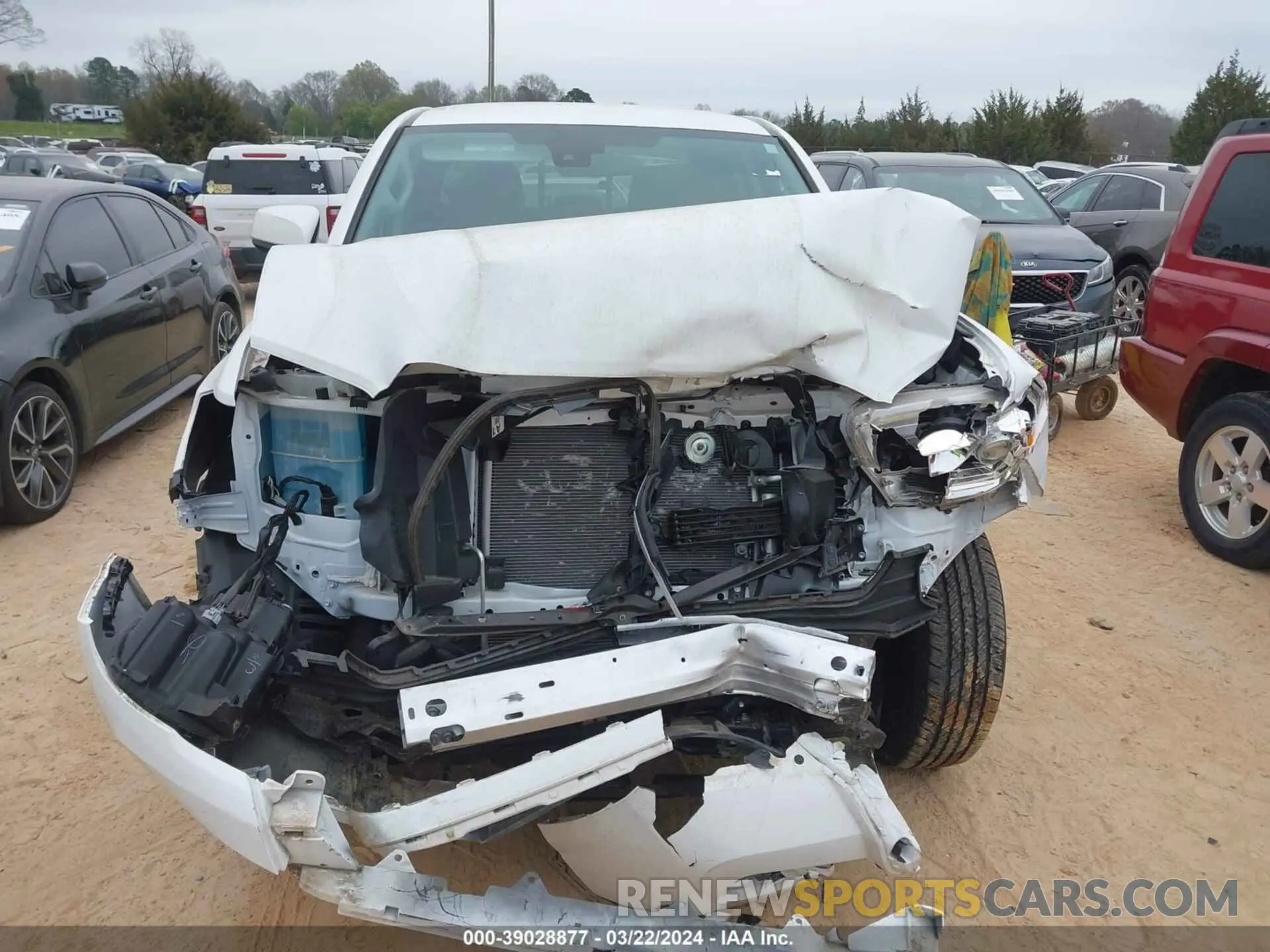 12 fotografías del automóvil dañado 3TMCZ5AN5KM222978 TOYOTA TACOMA 2019